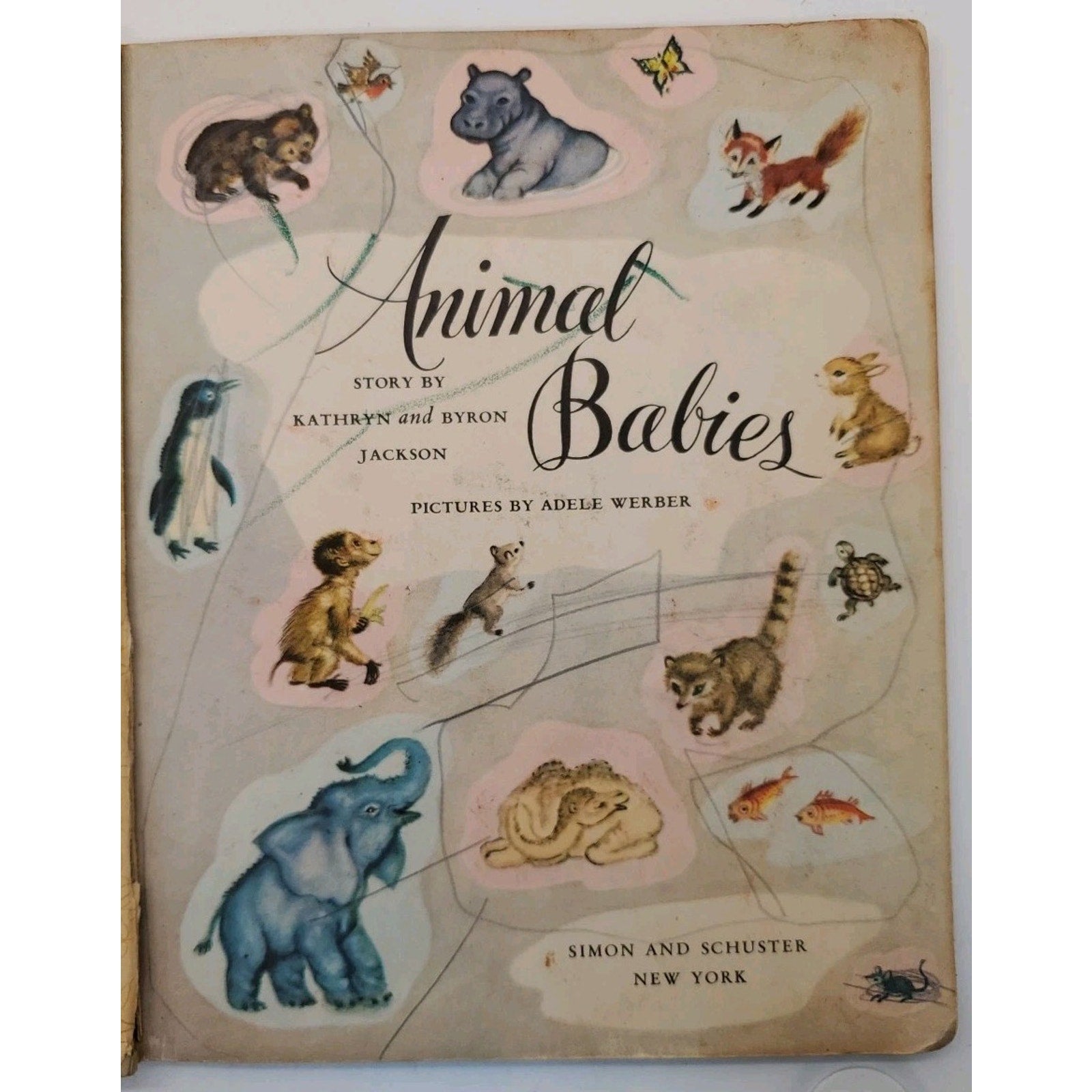 A Little Golden Book - Animal Babies