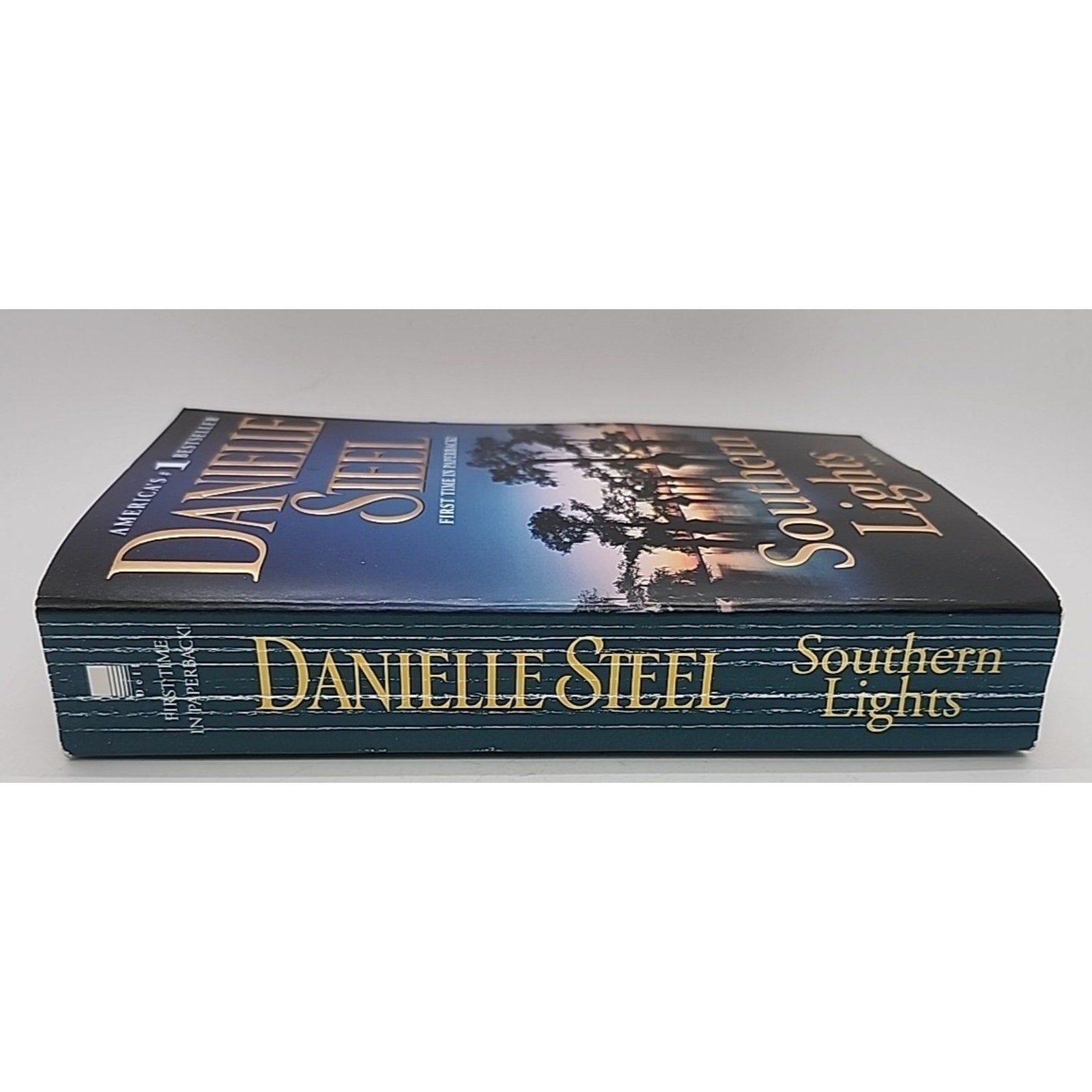 Southern Lights : A Novel by Danielle Steel (2010, Mass Market)