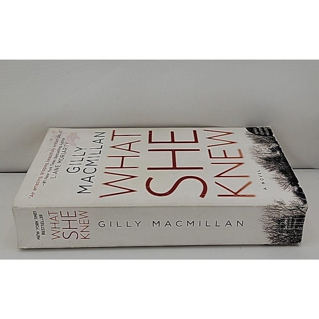 What She Knew : A Novel by Gilly Macmillan (2018, Mass Market)