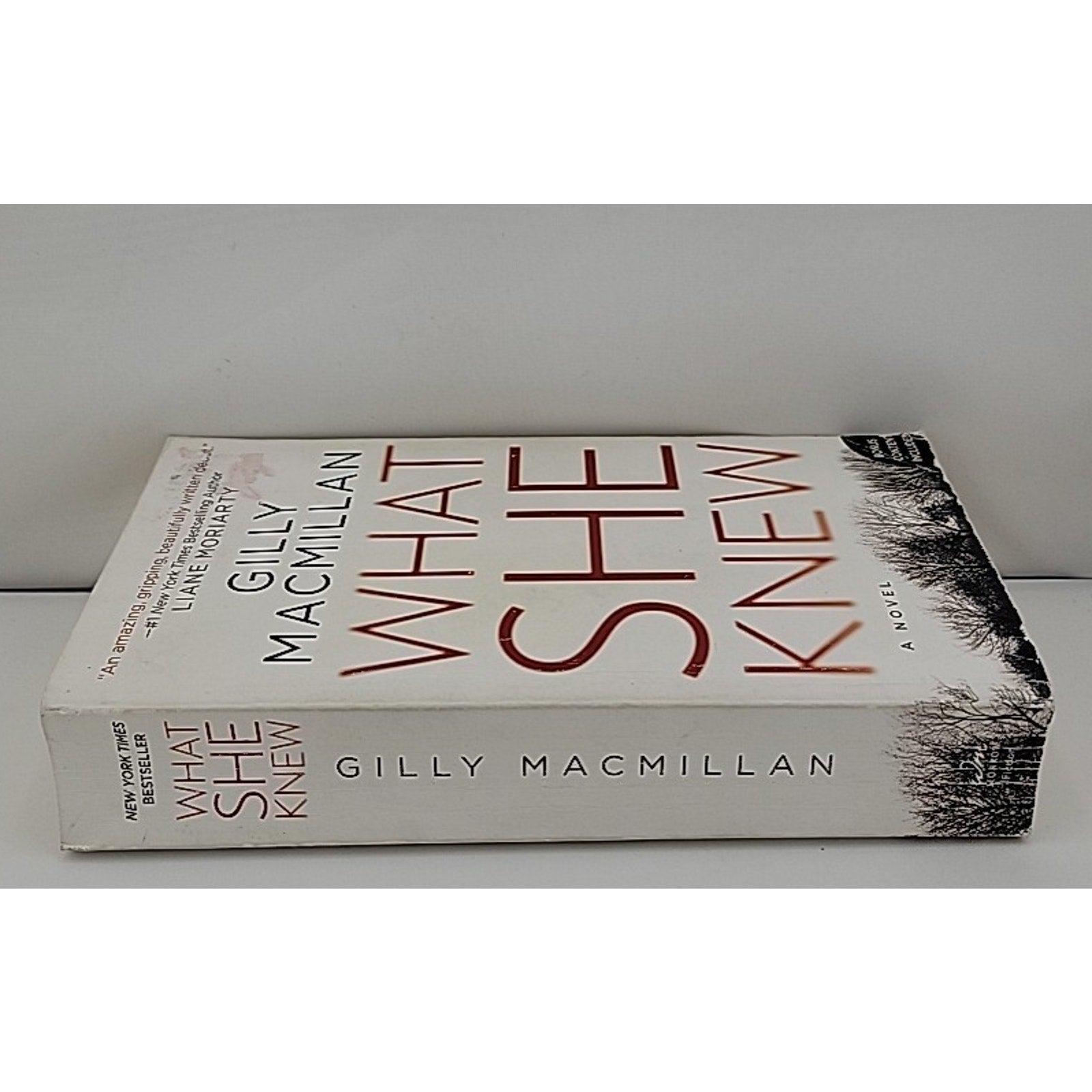 What She Knew : A Novel by Gilly Macmillan (2018, Mass Market)
