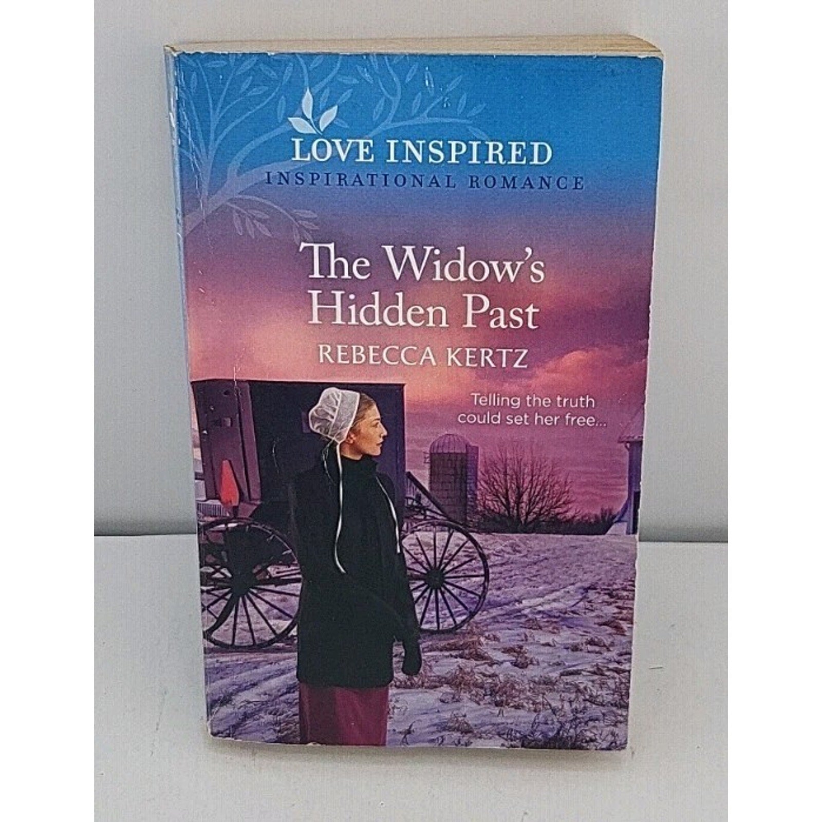 Widow's Hidden Past : An Uplifting Inspirational Romance by Rebecca Kertz (2023,