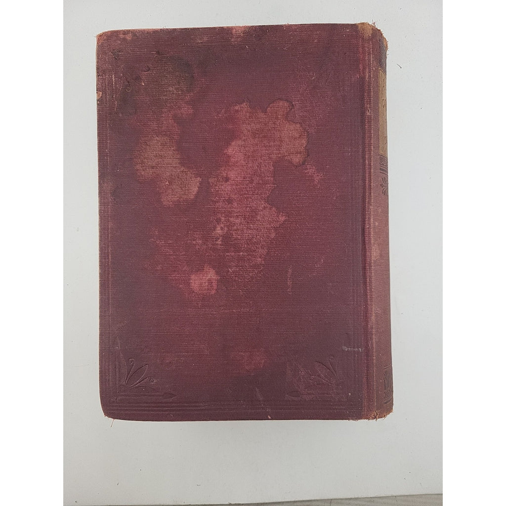 A Practical Book For Practical People 1895 Book