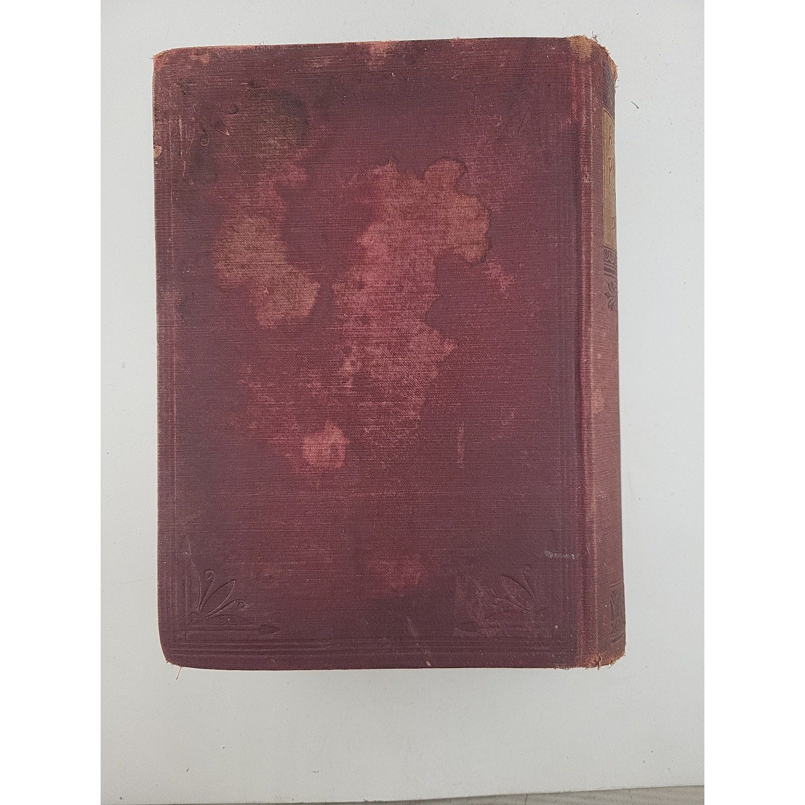 A Practical Book For Practical People 1895 Book