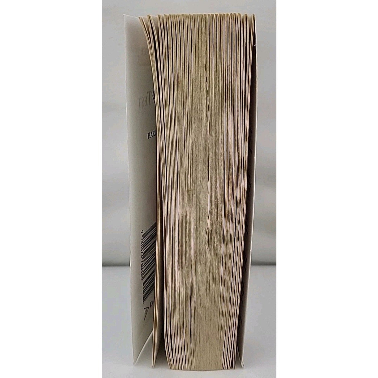 Pregnancy Test by Susan Gable (2005, Larger Print)