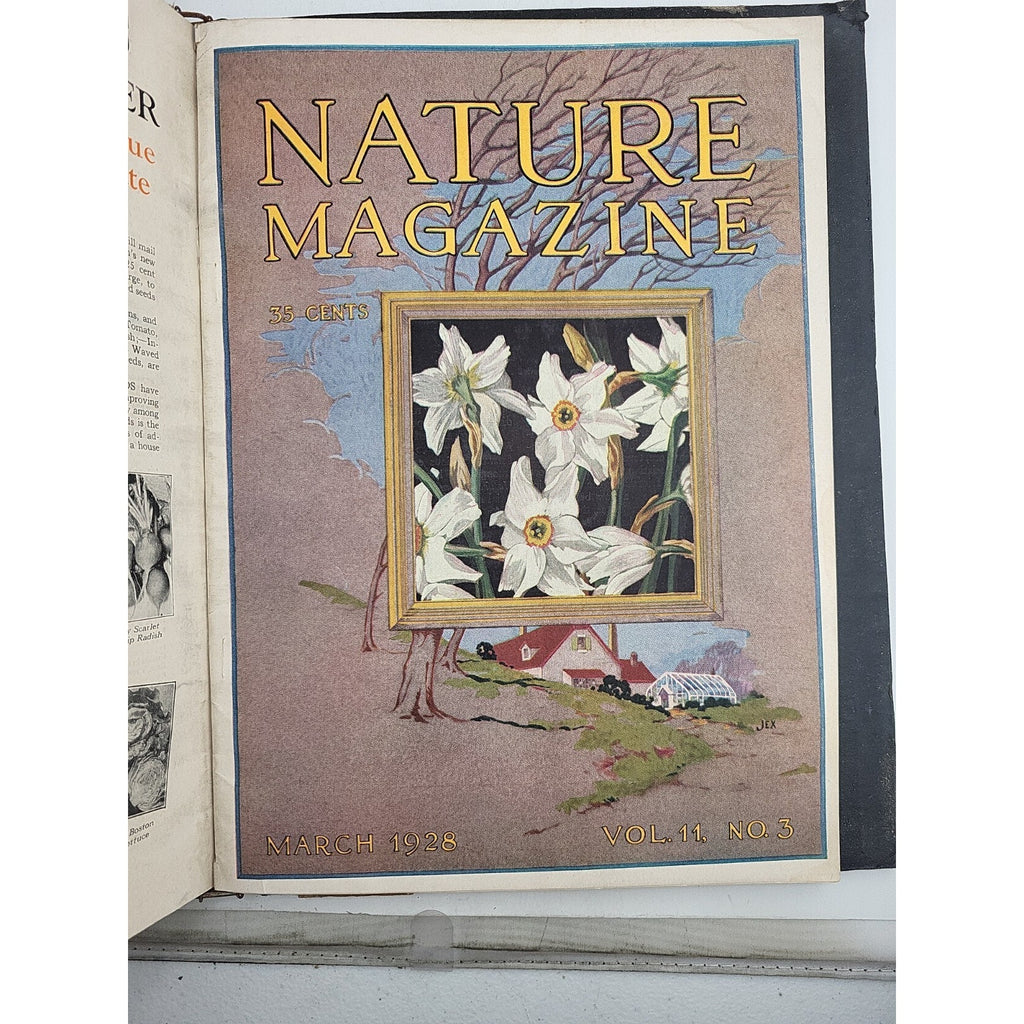 1927 Nature Magazine-12 Months In Embossed Green Leather Album Texas Issue.