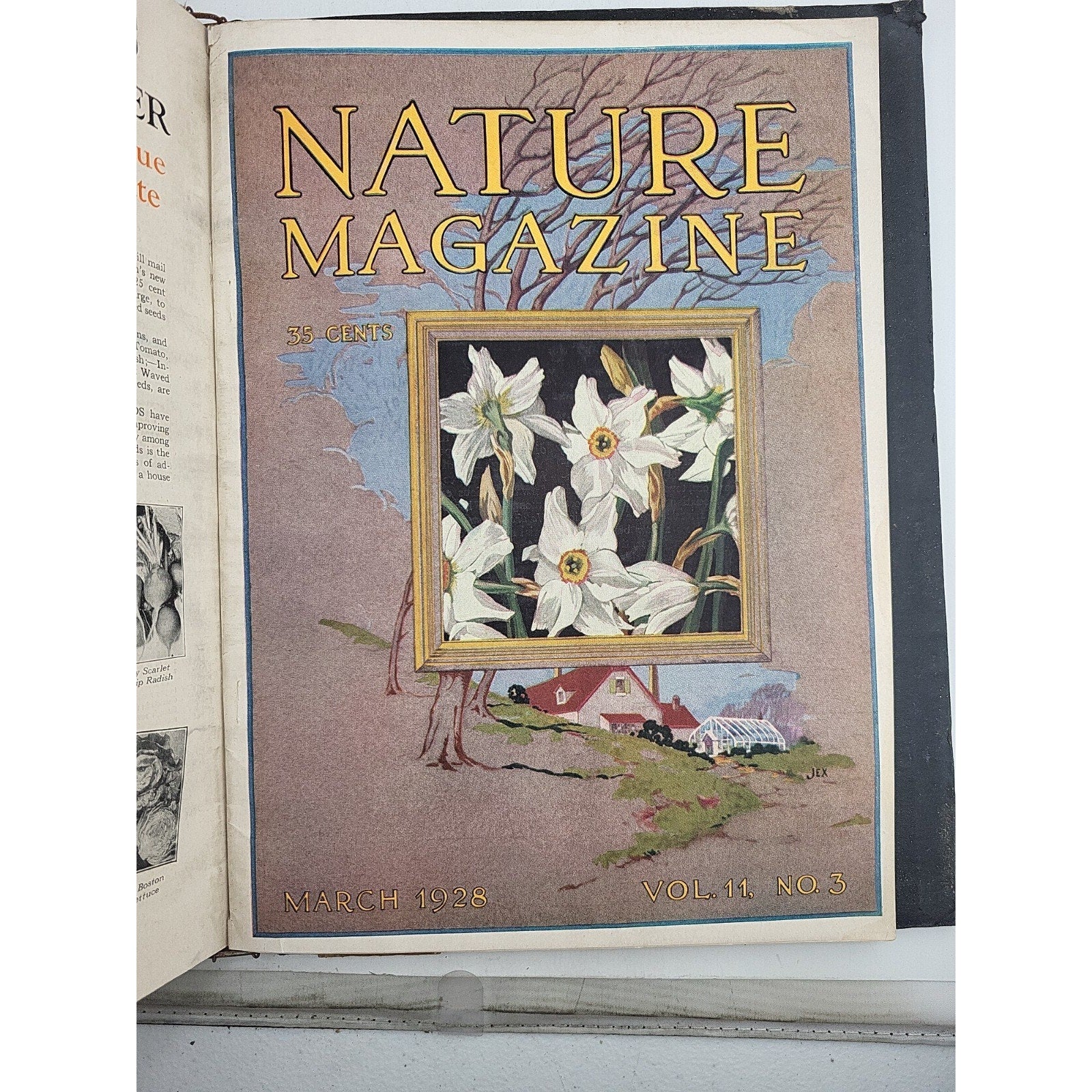 1927 Nature Magazine-12 Months In Embossed Green Leather Album Texas Issue.