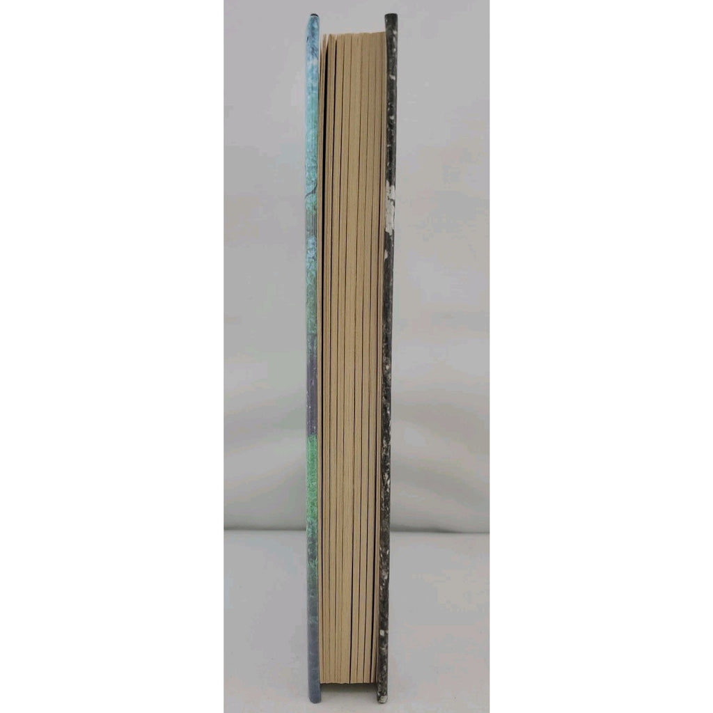 Wedding by Nicholas Sparks (2003, Hardcover)