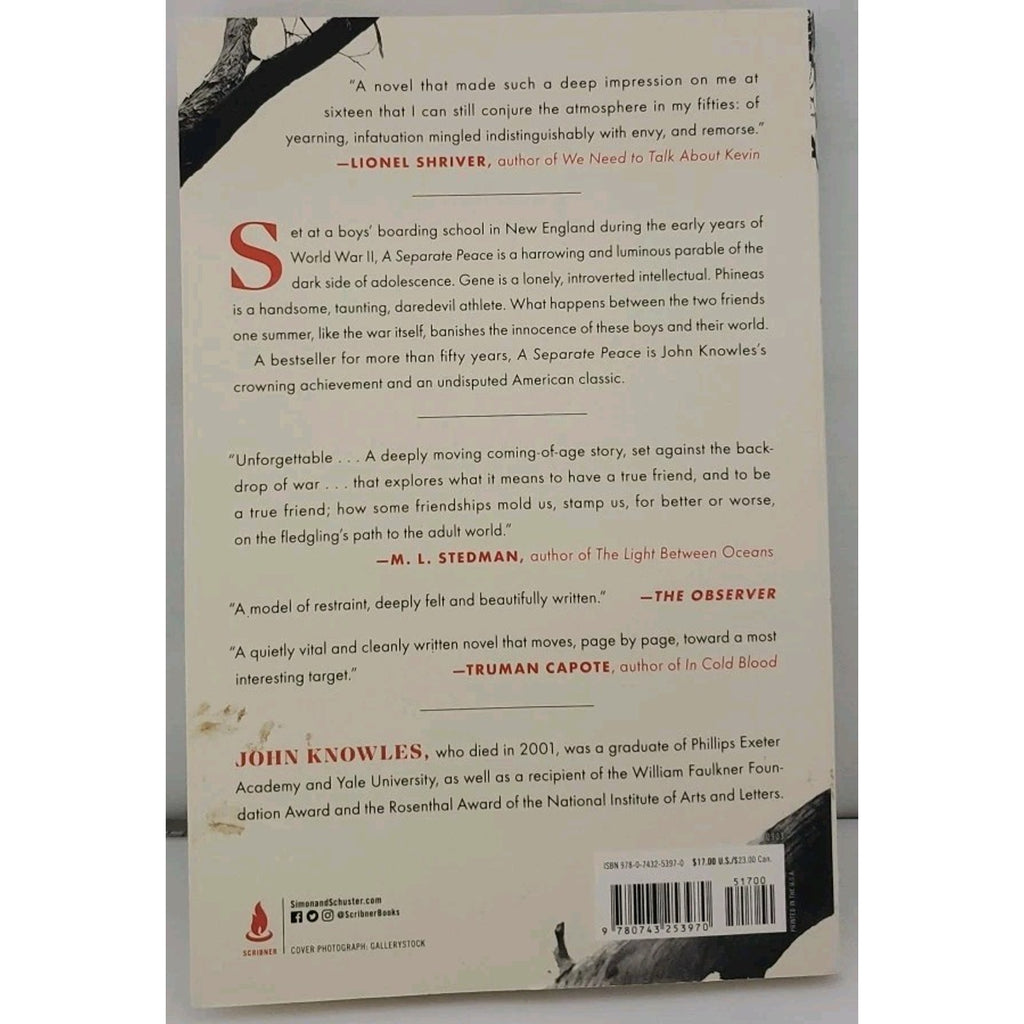 Separate Peace by John Knowles (2003, Trade Paperback)