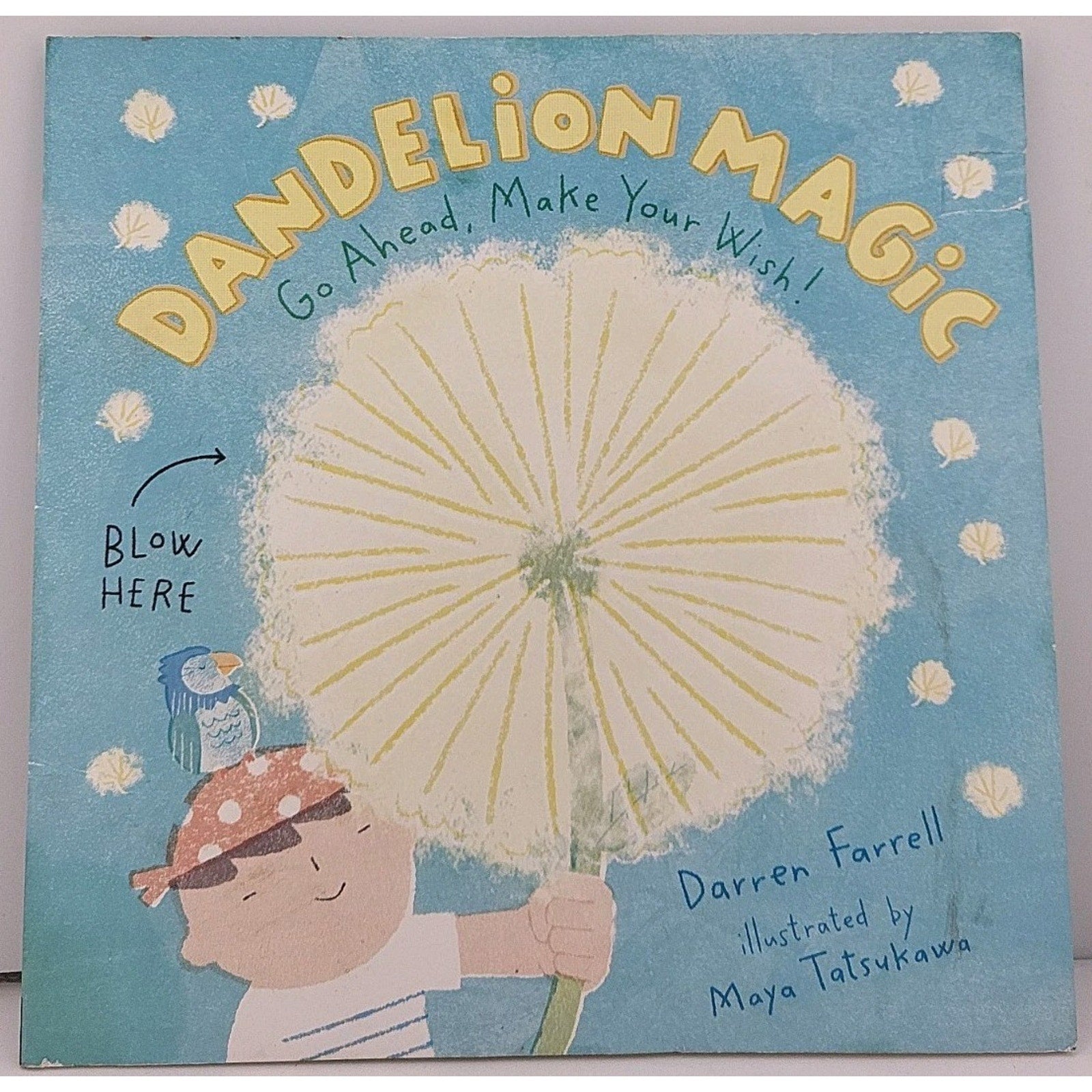 Dandelion Magic - Paperback Darren Farrell