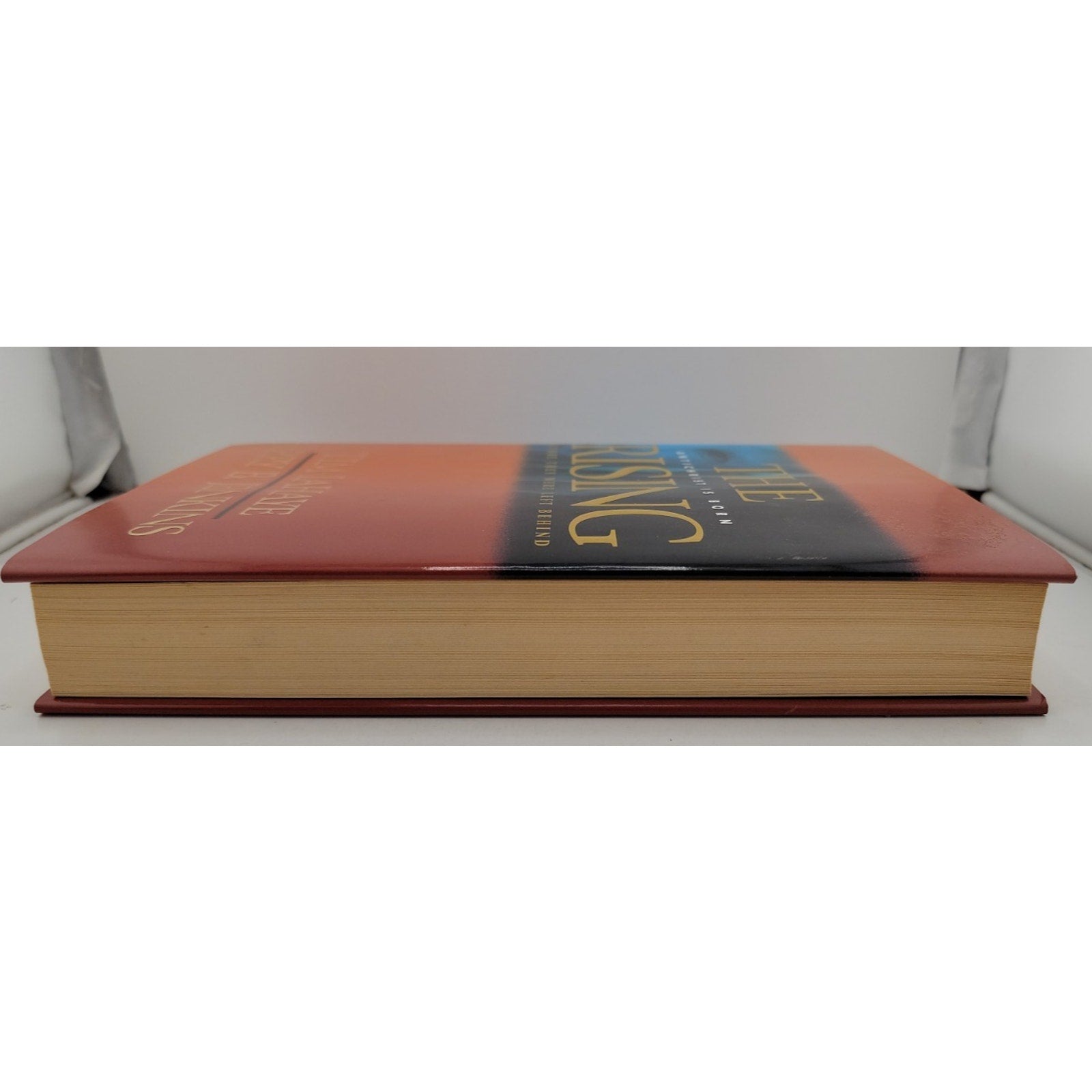 The Rising: Antichrist Is Born / Before They Were Left Behind Hardcover Jenkins