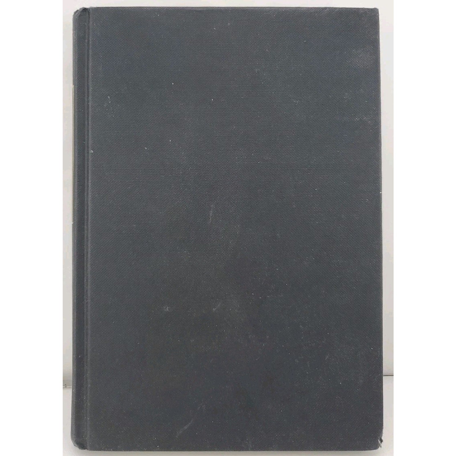 Model Behavior by Jay McInerney (1998, Hardcover)