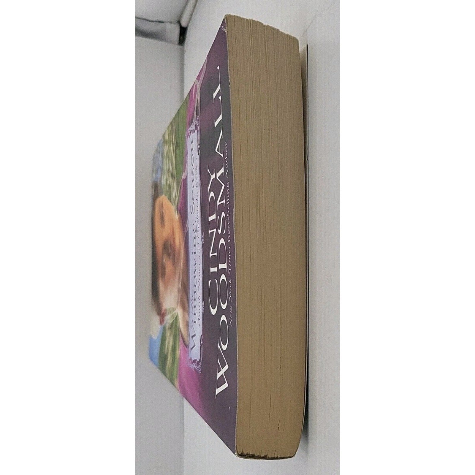 Winnowing Season : Book Two in the Amish Vines and Orchards Series by Cindy...