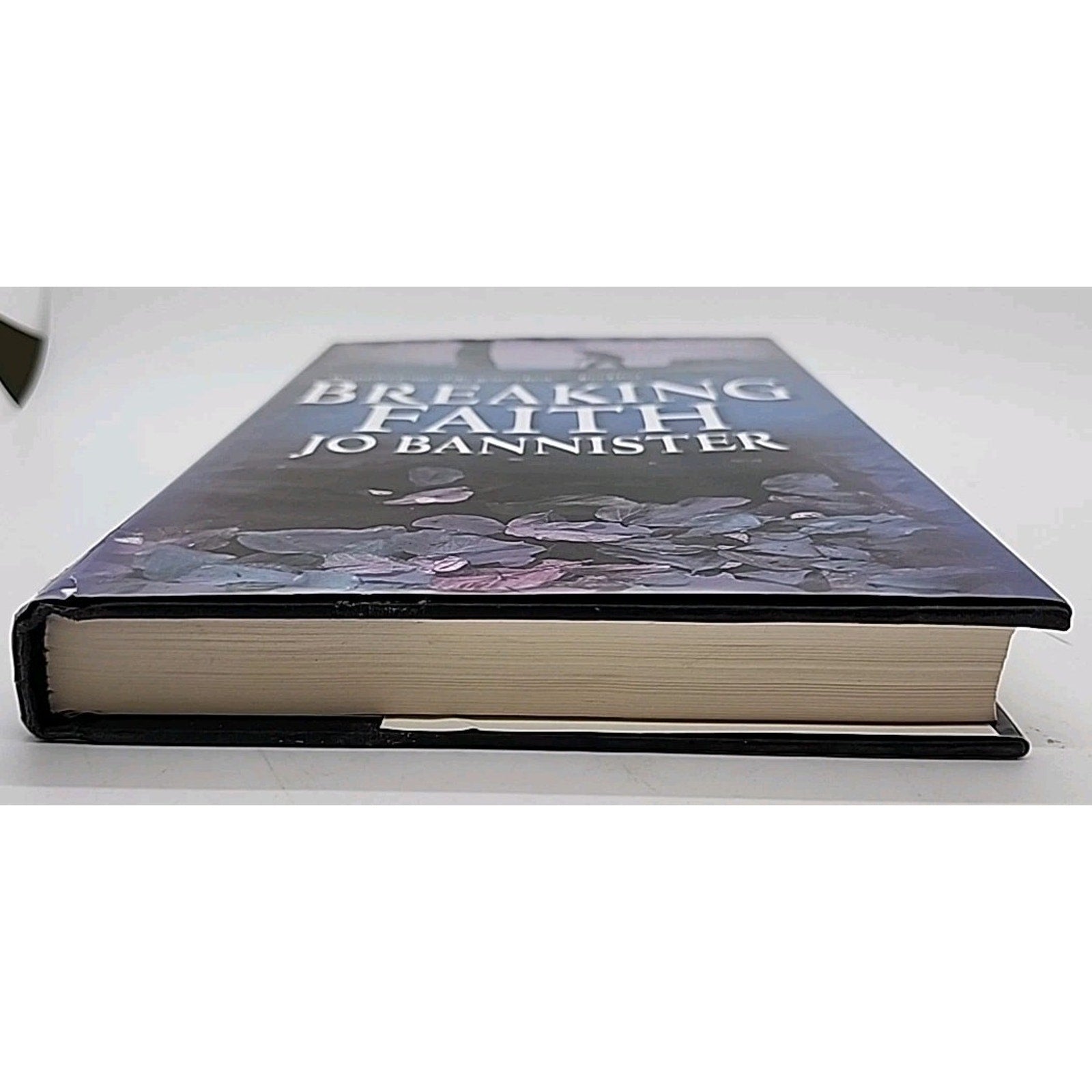 Breaking Faith by Jo Bannister (2005, Hardcover)