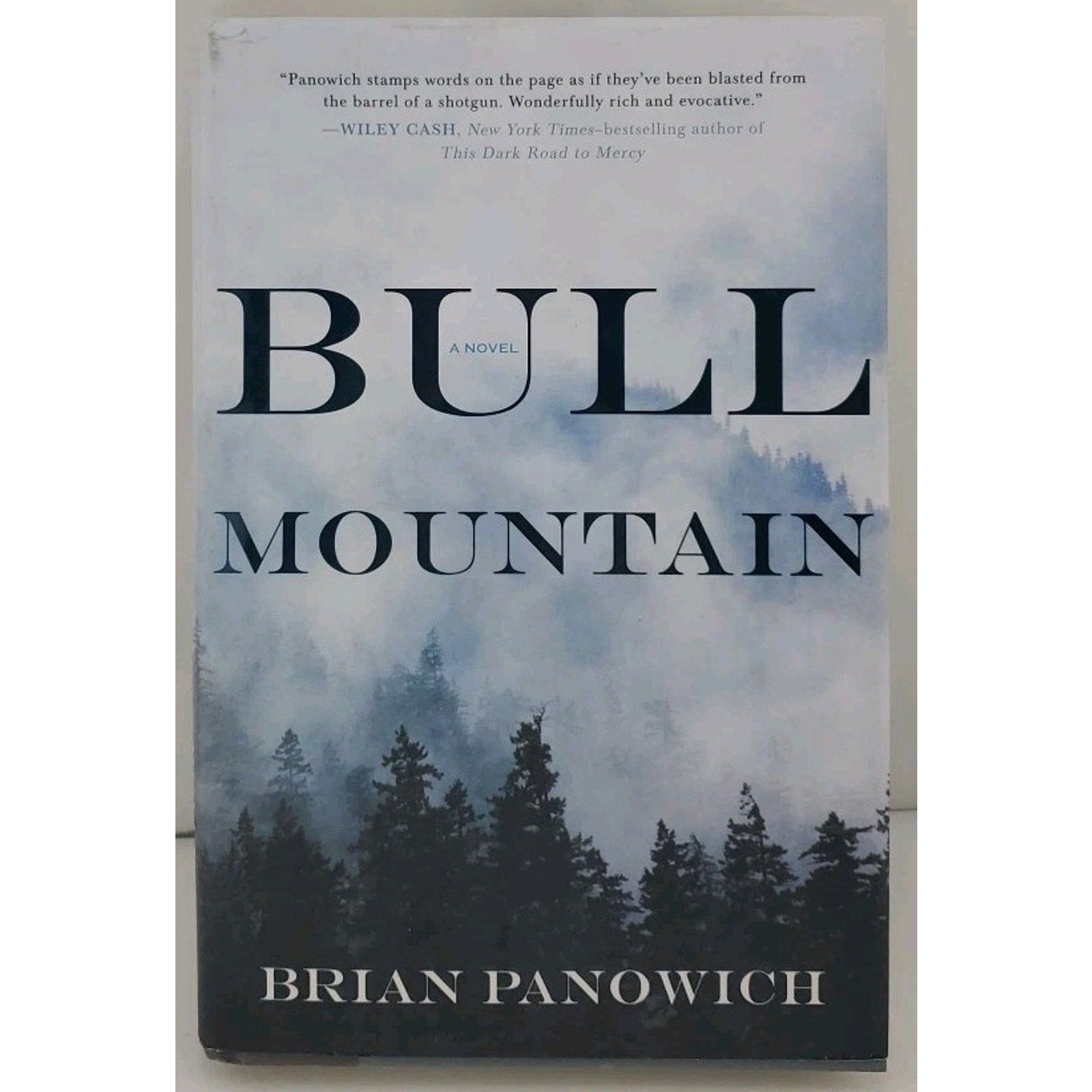 Bull Mountain by Brian Panowich (2015, Hardcover)