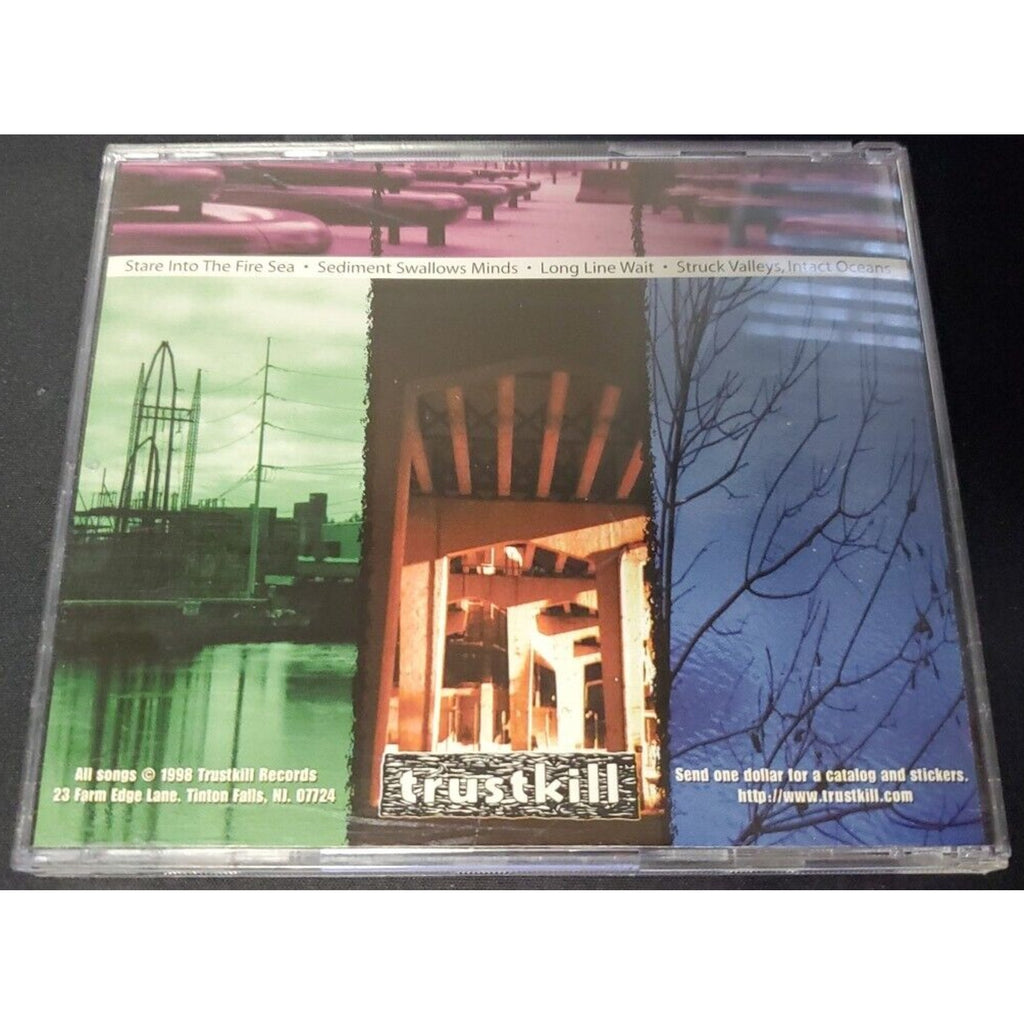 Picturesque Shine In Eyes (CD)