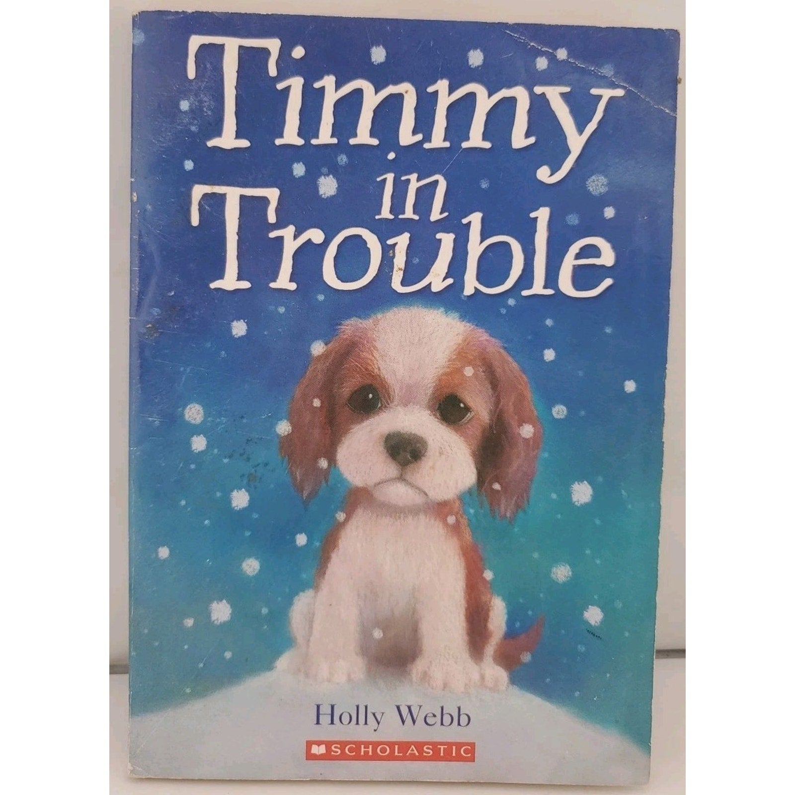 Timmy in Trouble by Webb, Holly (Paperback)