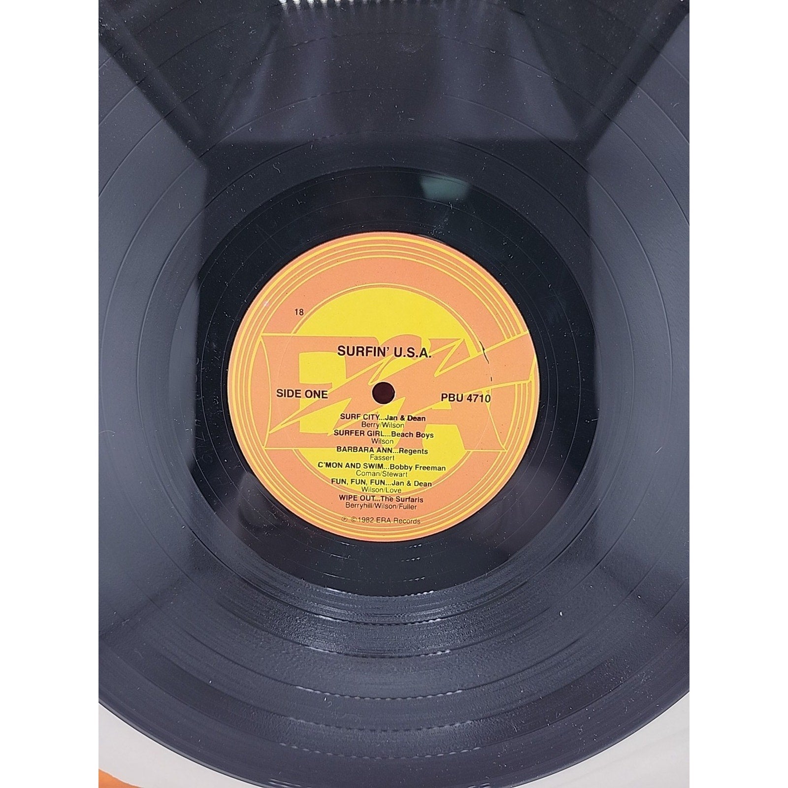 Surfin USA Vinyl Record