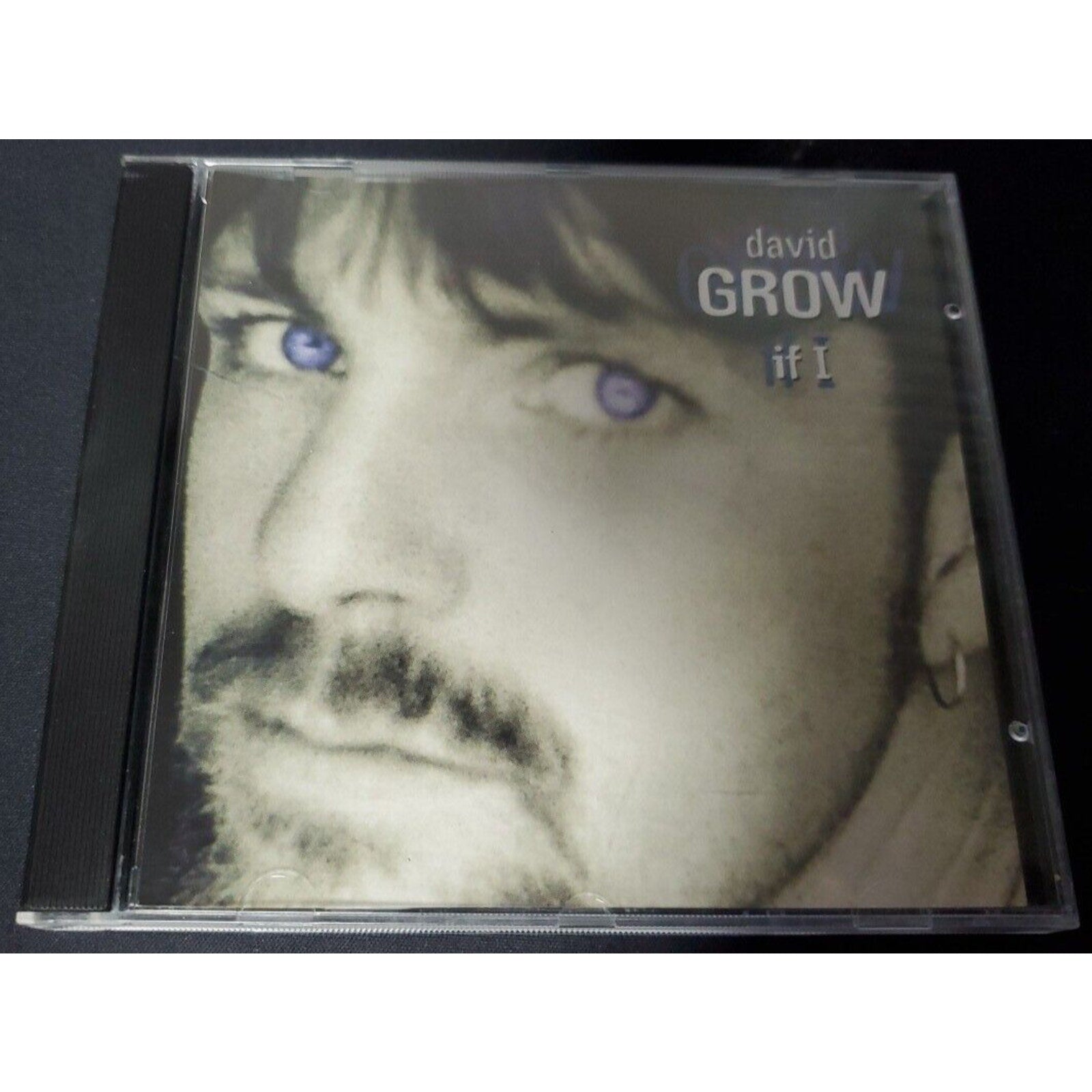 David Grow If I (CD) - Single