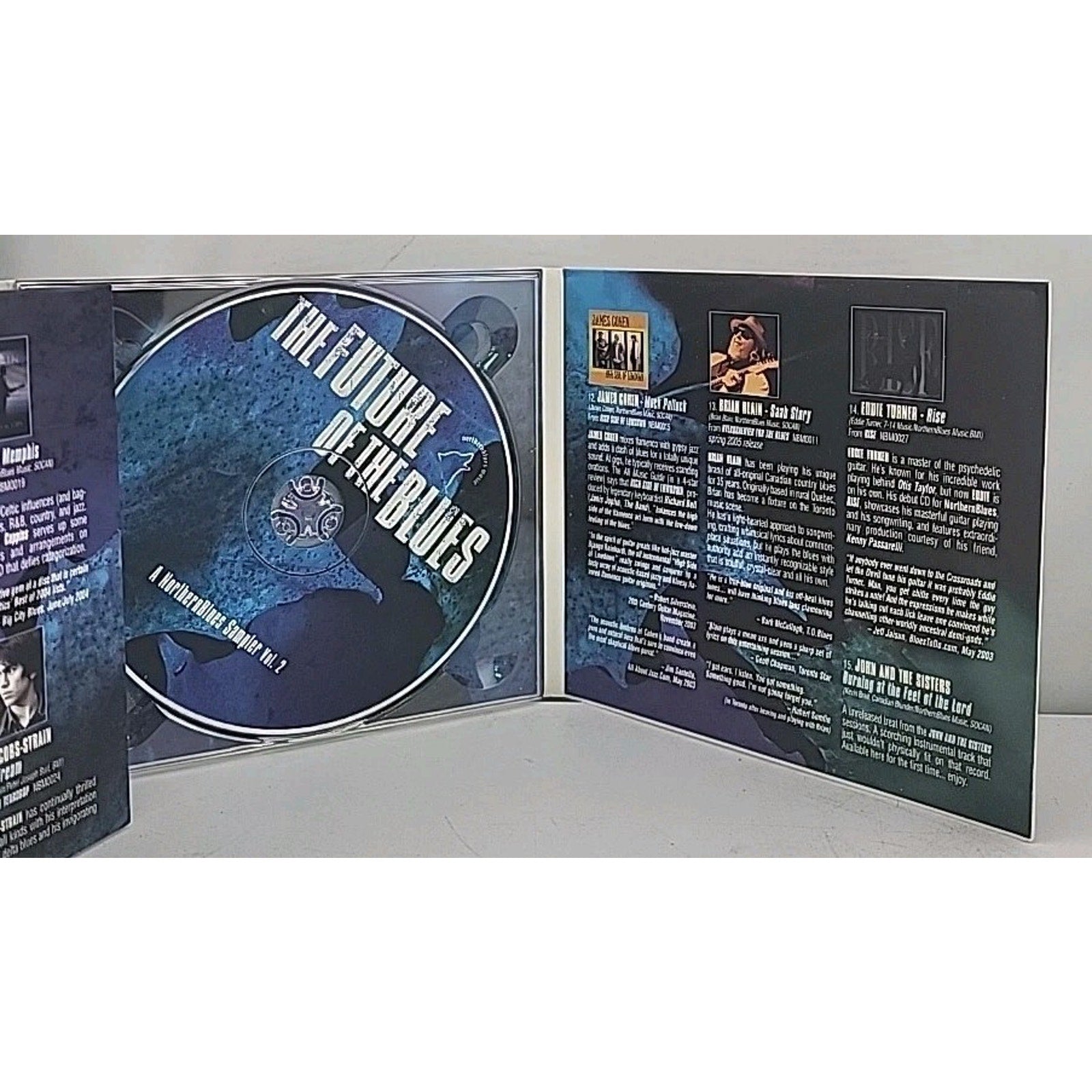 Future of the Blues, Vol. 2 by Various (CD, 2005)