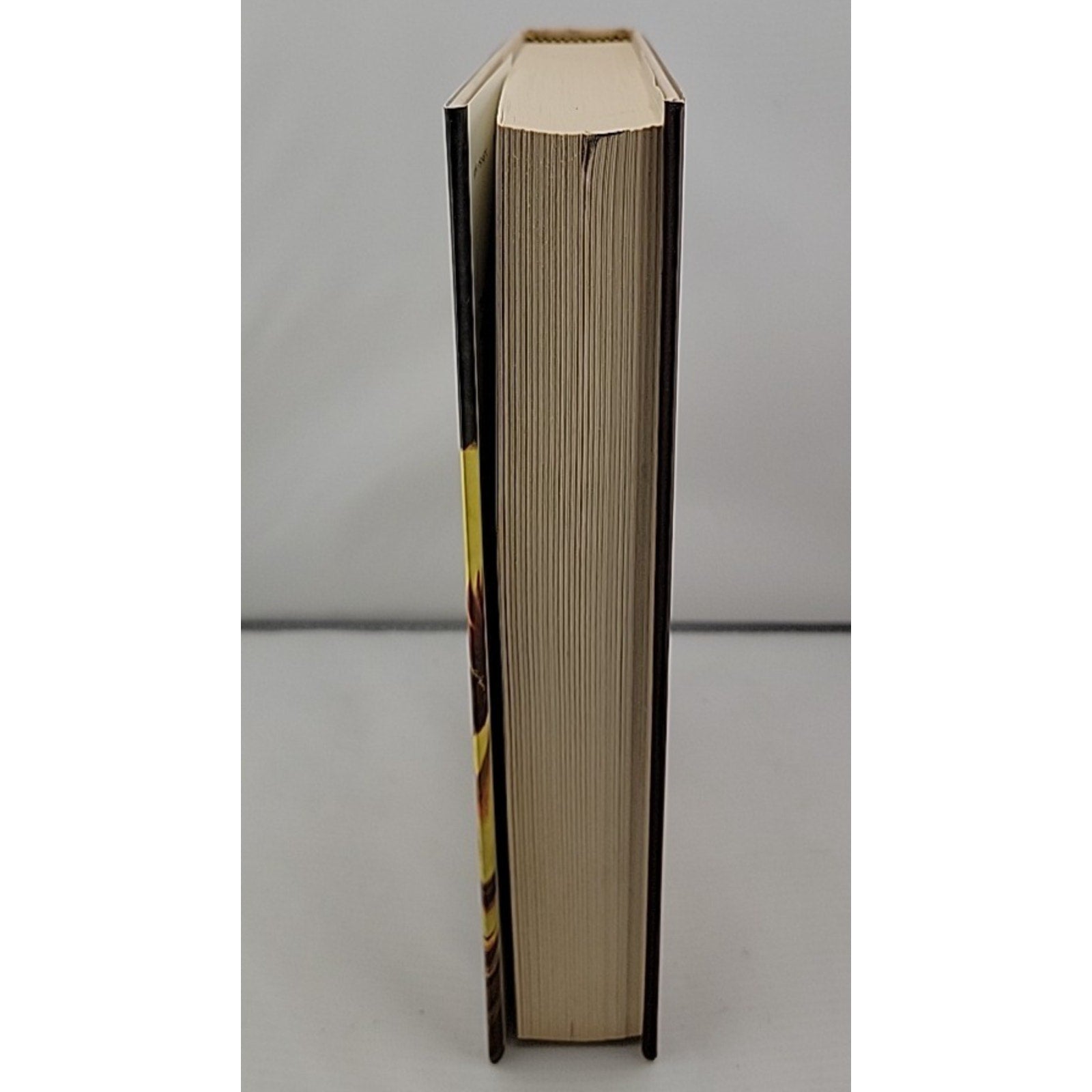 Antiagon Fire by L. E. Modesitt Jr. (2013, Hardcover)