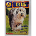 Puppy Patrol BIG BEN children's book scholastic by Jenny Dale
