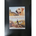 Far From Home: The Adventures of Yellow Dog (DVD, 1995)