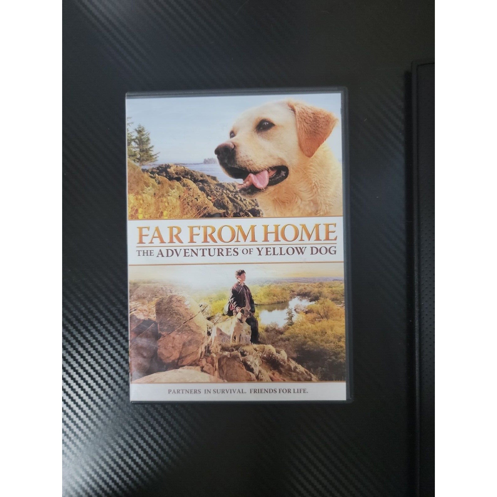 Far From Home: The Adventures of Yellow Dog (DVD, 1995)