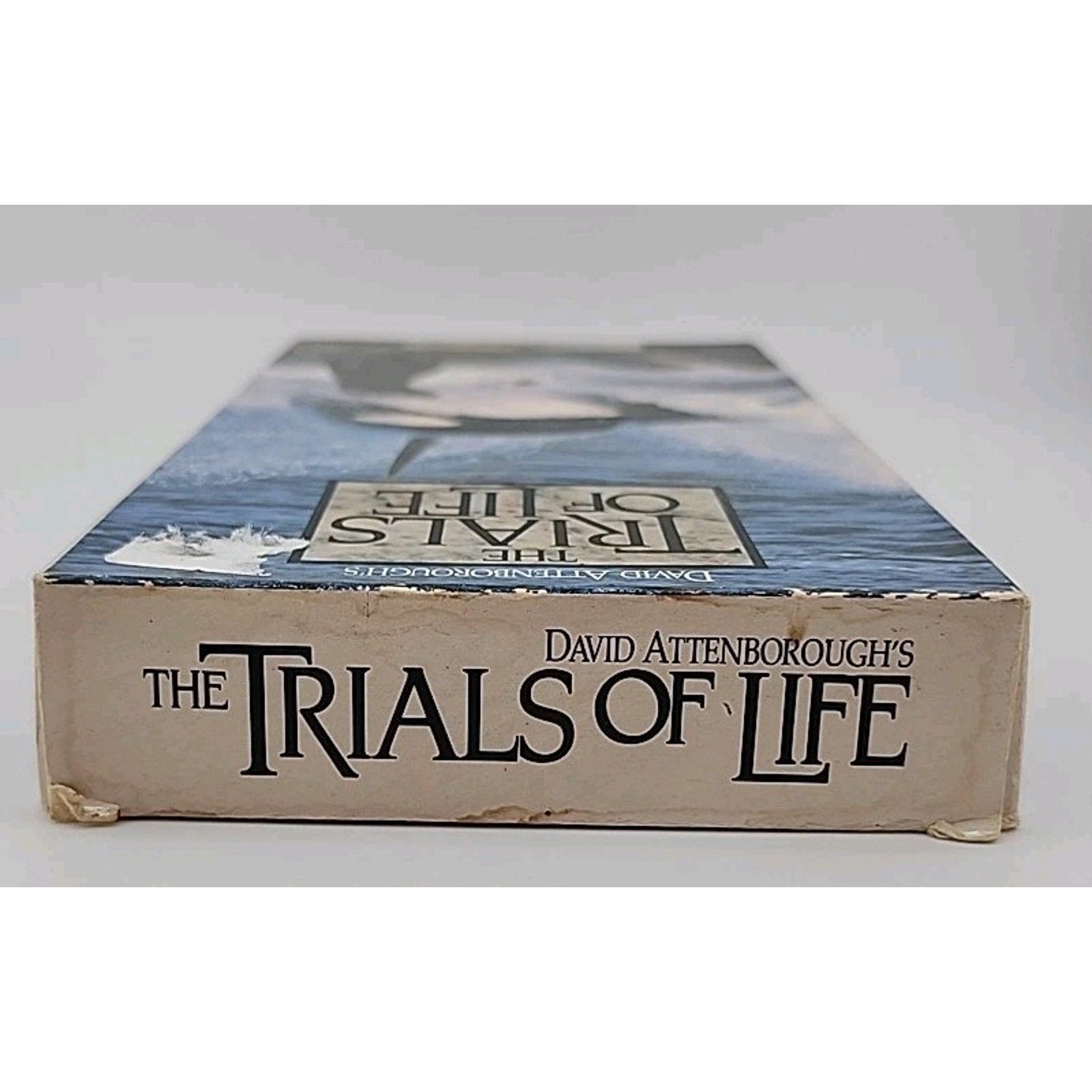 The Trials Of Life Hunting & Escaping (VHS)