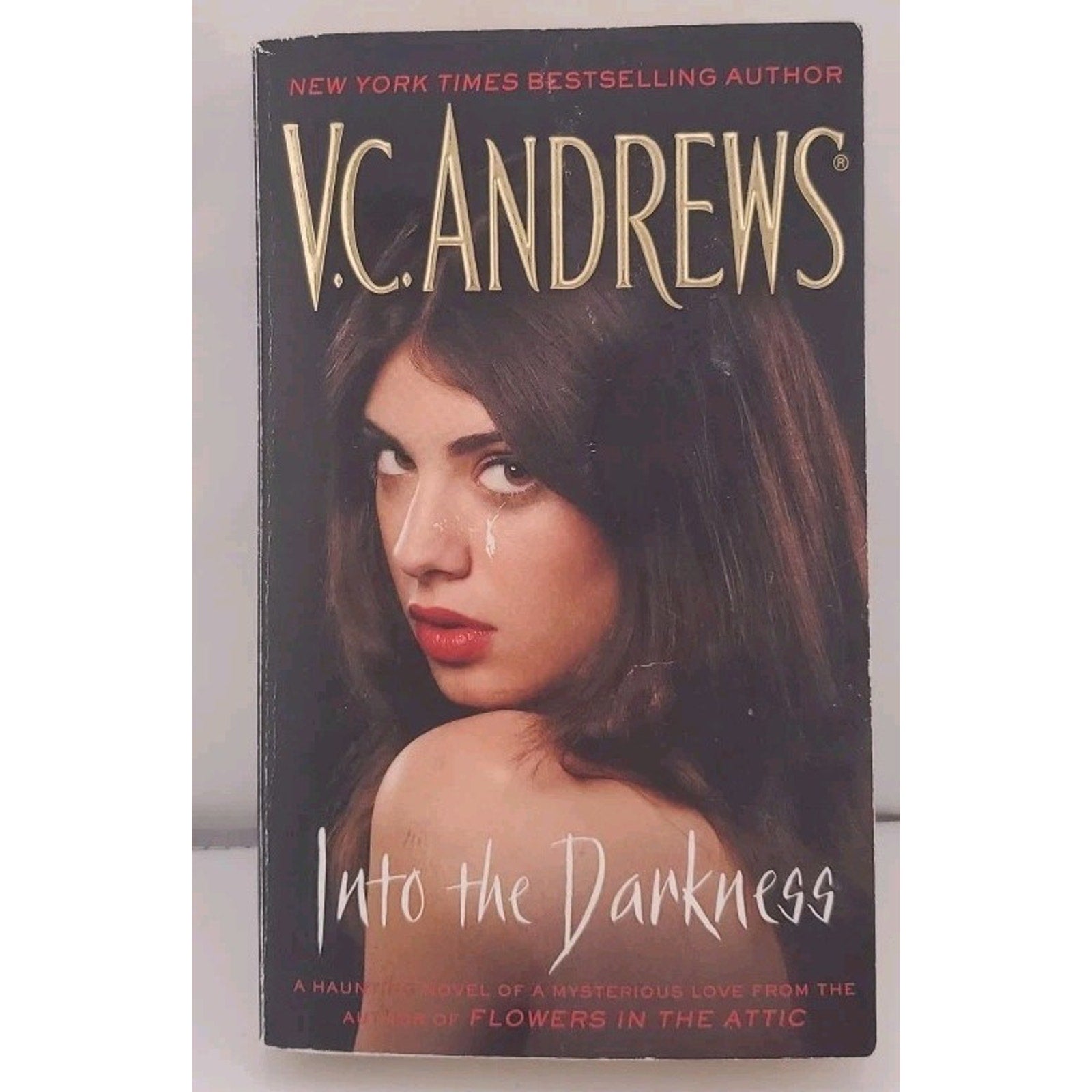 Into the Darkness by V. C. Andrews (2012, Mass Market)