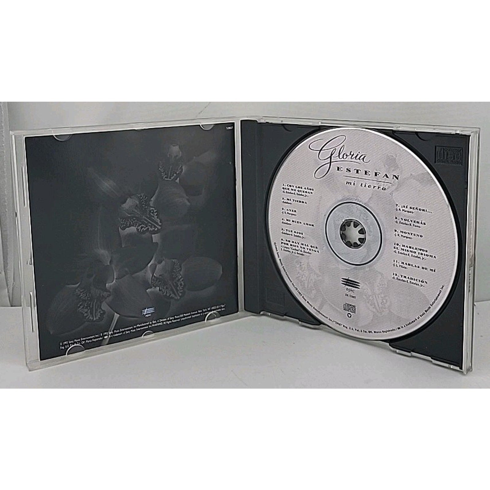 Mi Tierra by Gloria Estefan (CD, 1993)