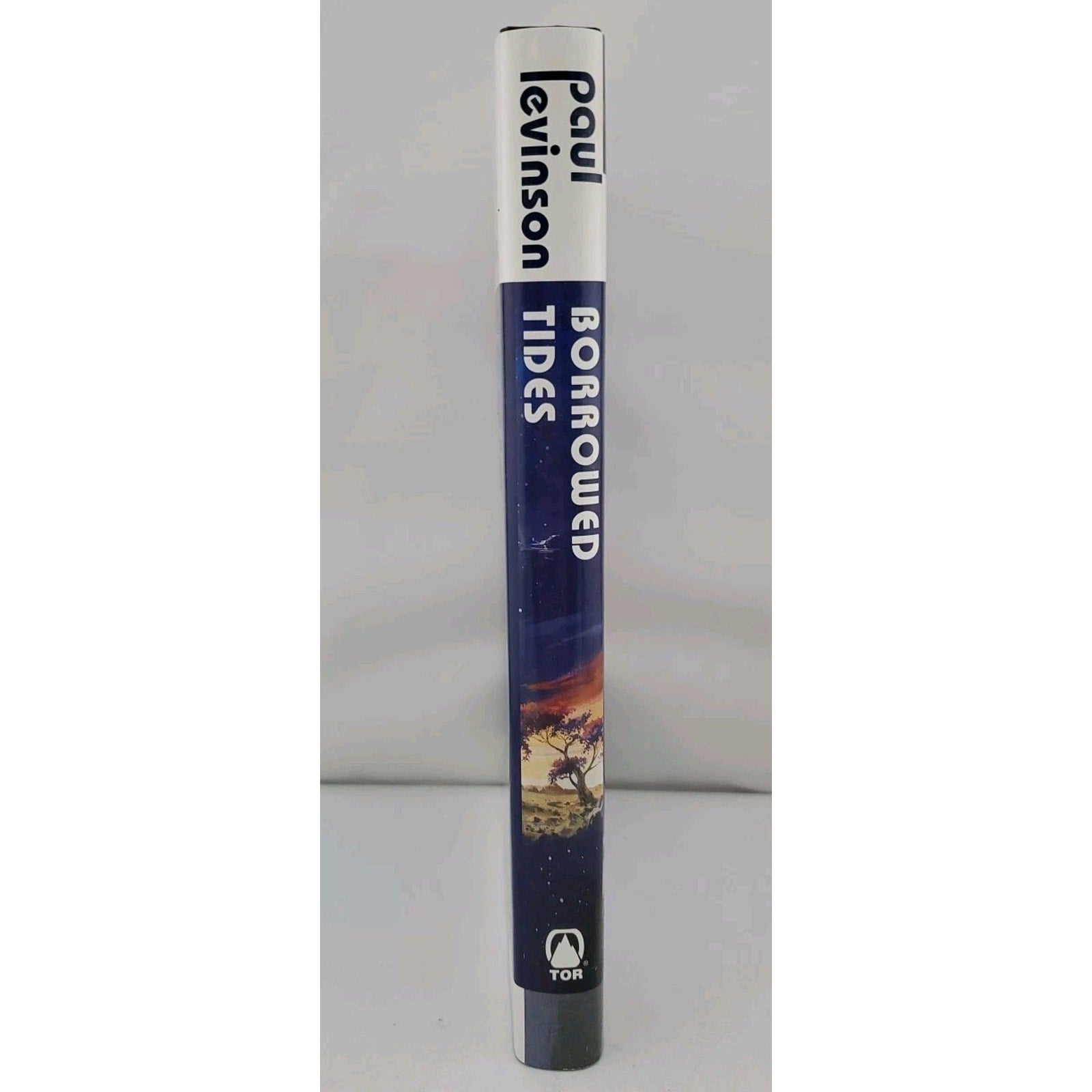 Borrowed Tides by Paul Levinson (2001, Hardcover)