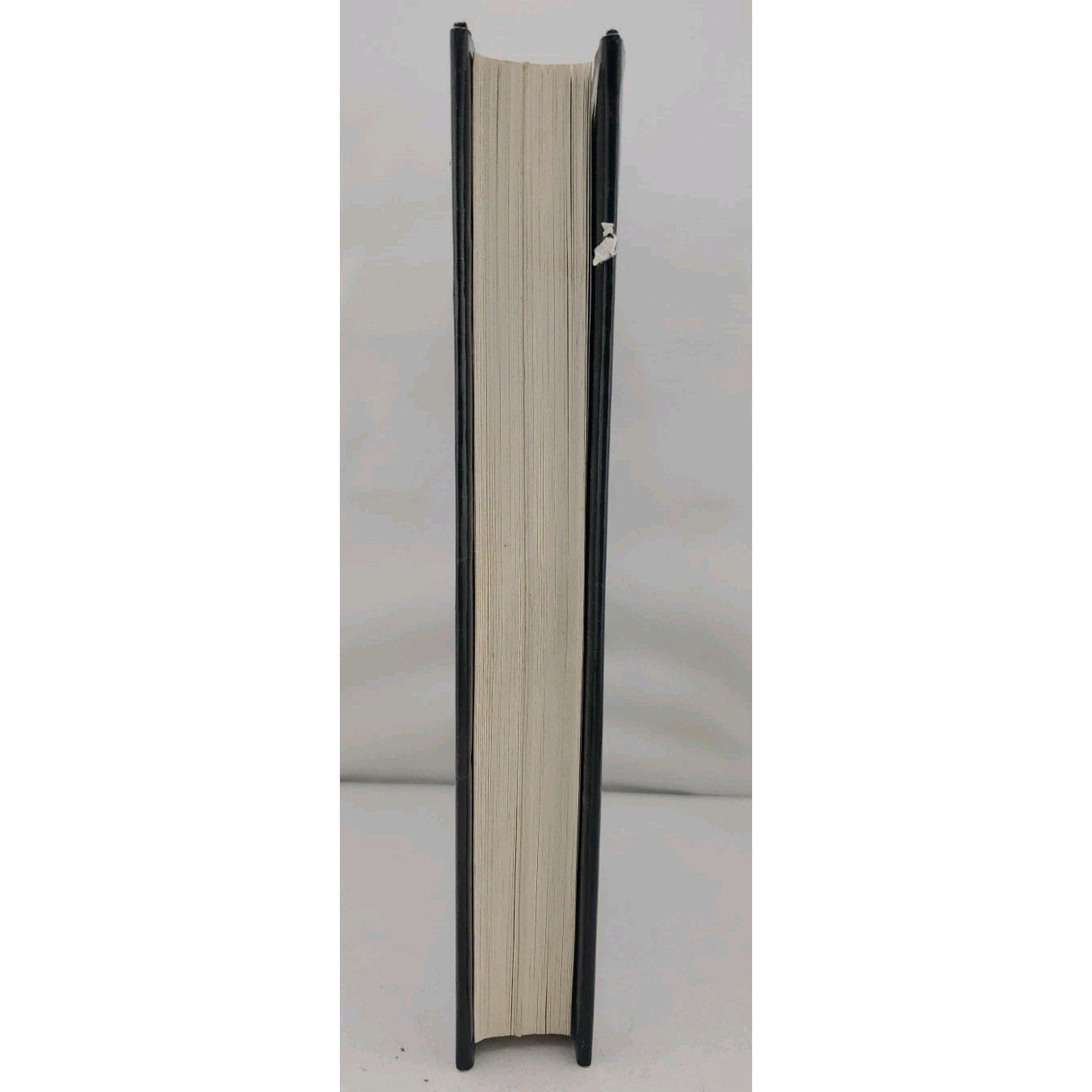 Tears of Rage by John Walsh (1997, Hardcover)