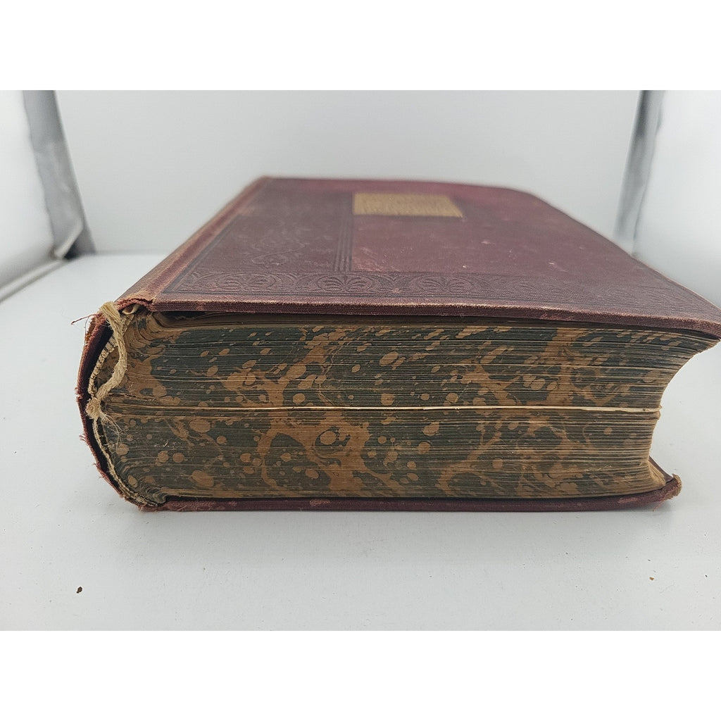 A Practical Book For Practical People 1895 Book