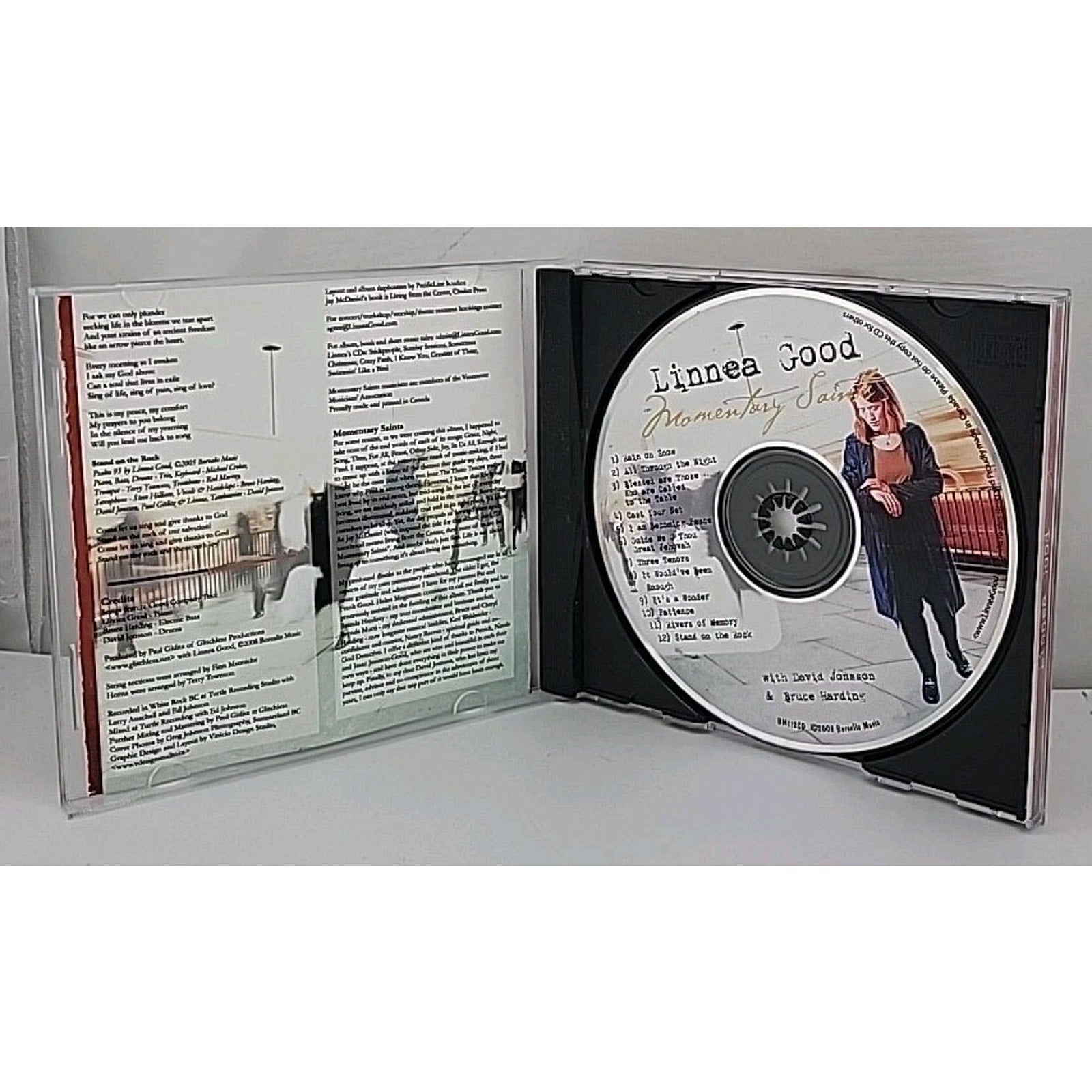 Momentary Saints by Linnea Good (CD, 2008)