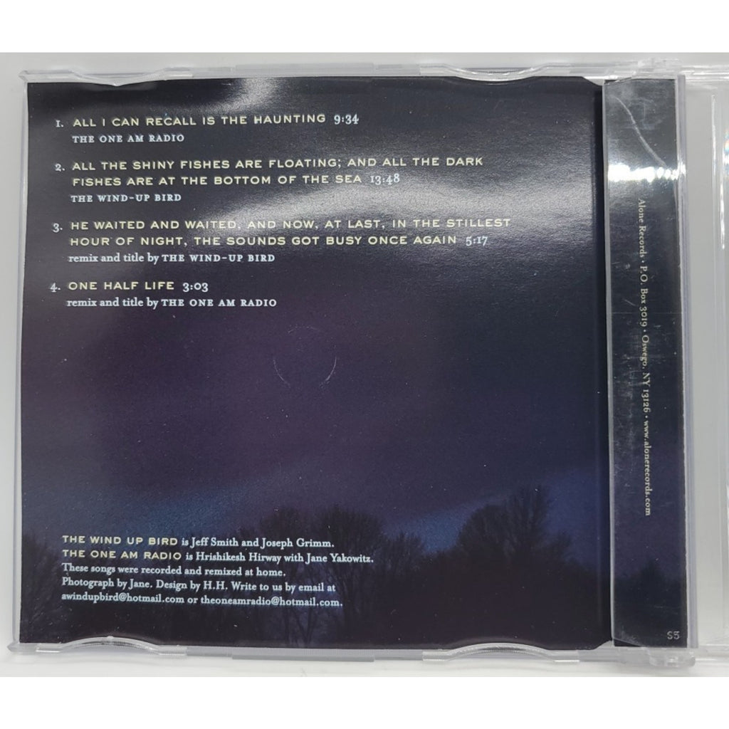 Night Falls The One AM Radio & The Wind-Up Bird (CD)