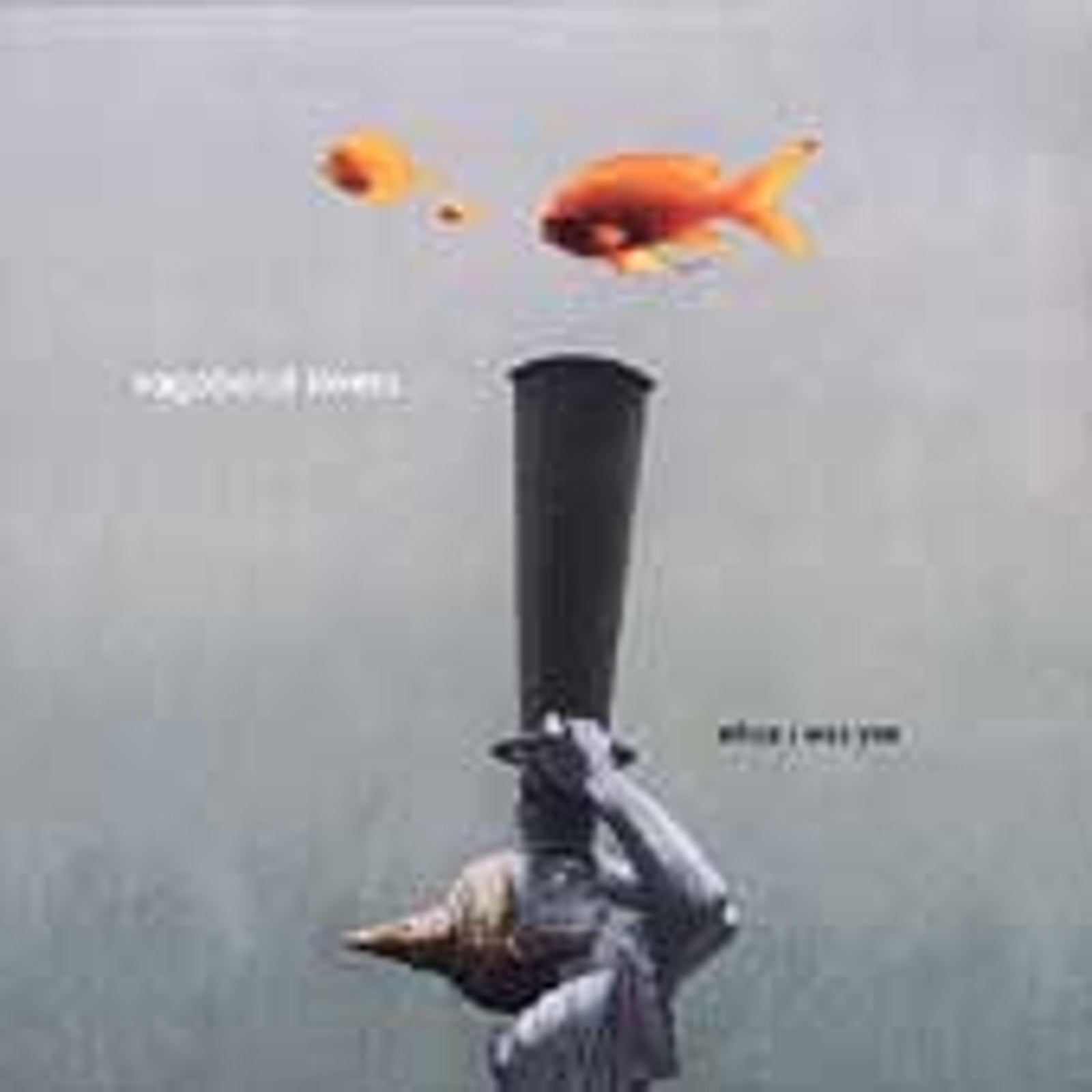 When I Was You by Vagabond Lovers (CD, 2004, Monarch Records)