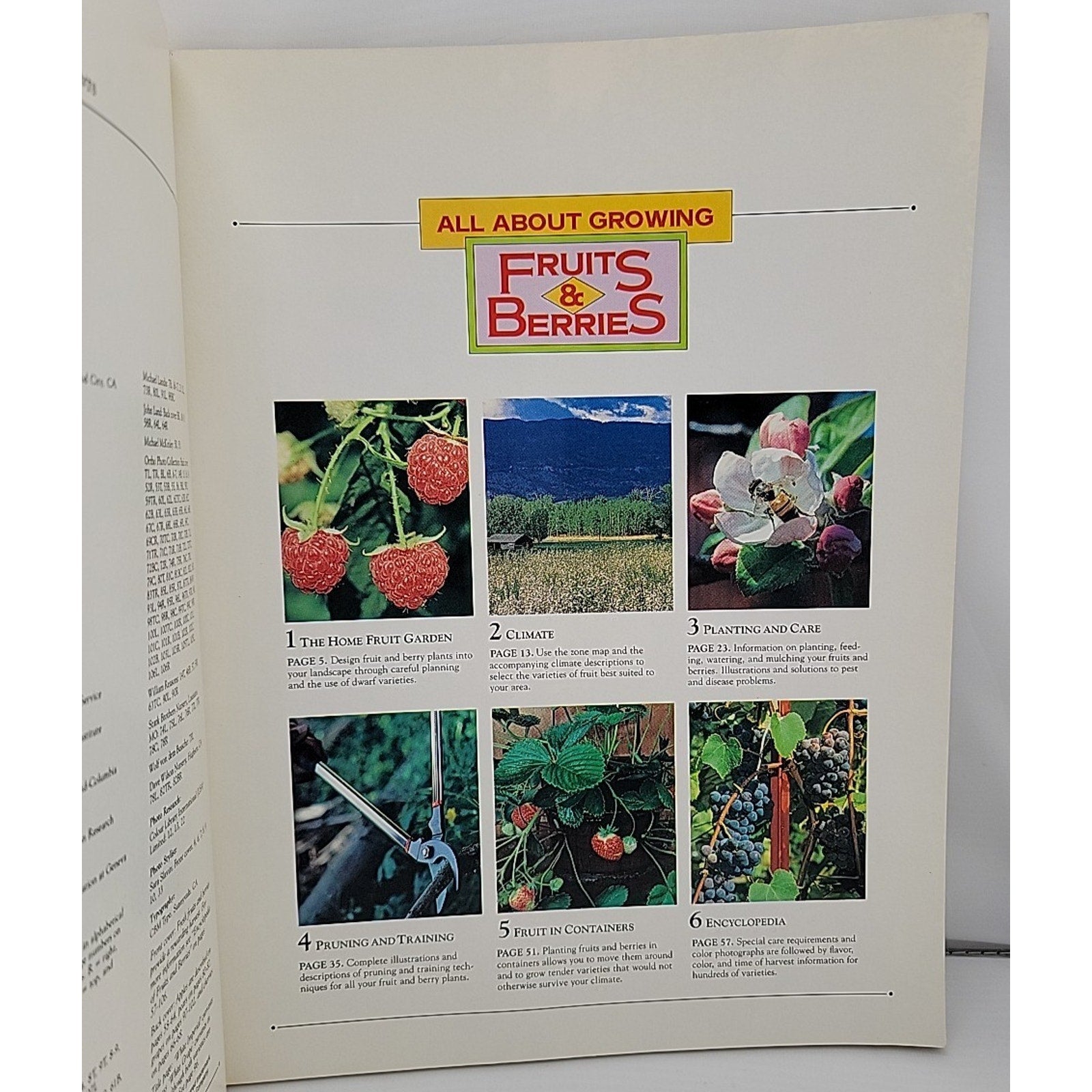 All about Growing Fruits and Berries Paperback Ortho Books Staff