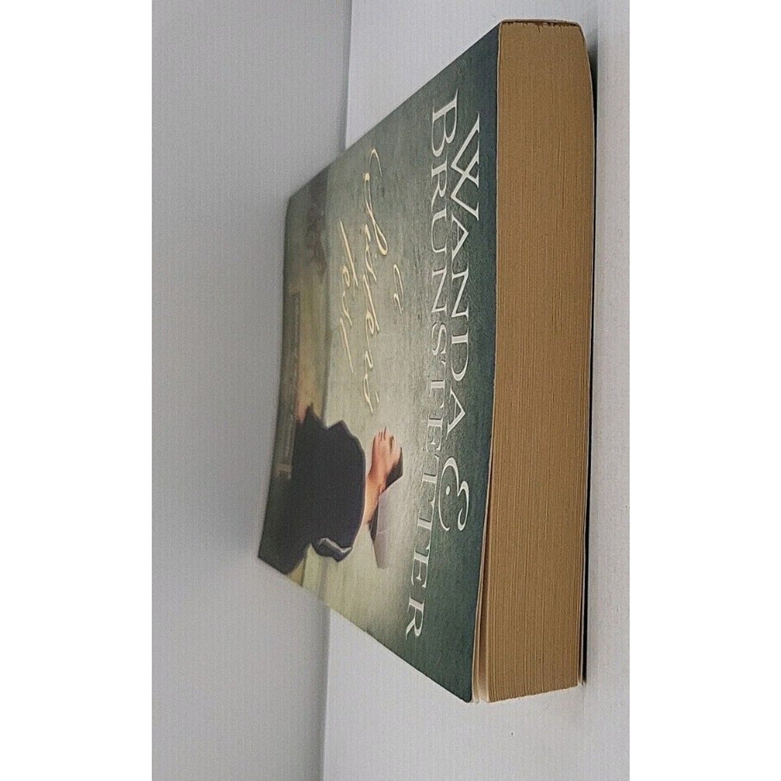 Sister's Test by Wanda E. Brunstetter (2008, Trade Paperback)