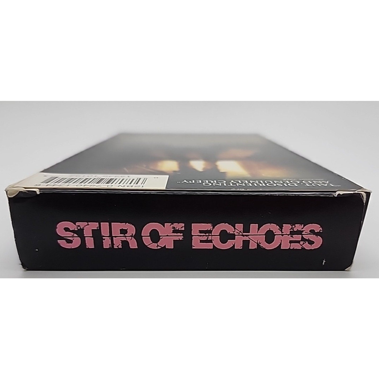 Stir of Echoes (VHS, 1999)