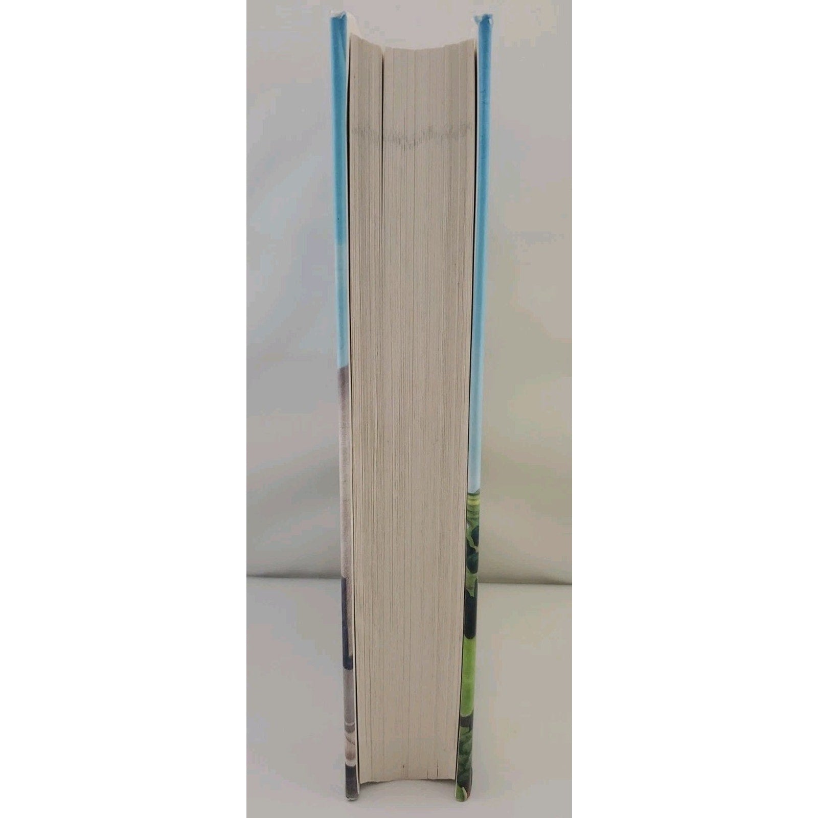 Standing in the Rainbow by Fannie Flagg (2002, Hardcover)