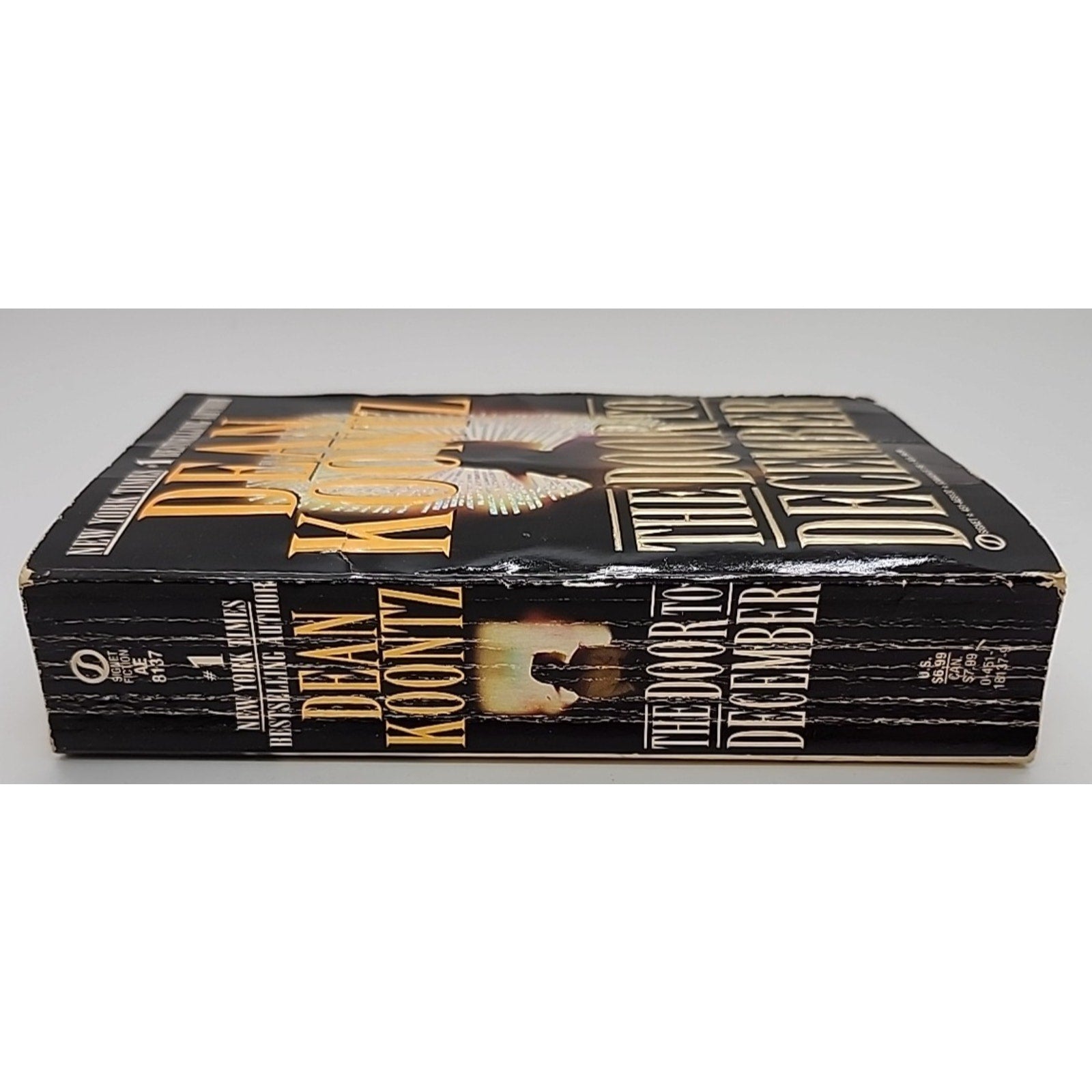 Door to December by Richard Paige (1994, Mass Market)