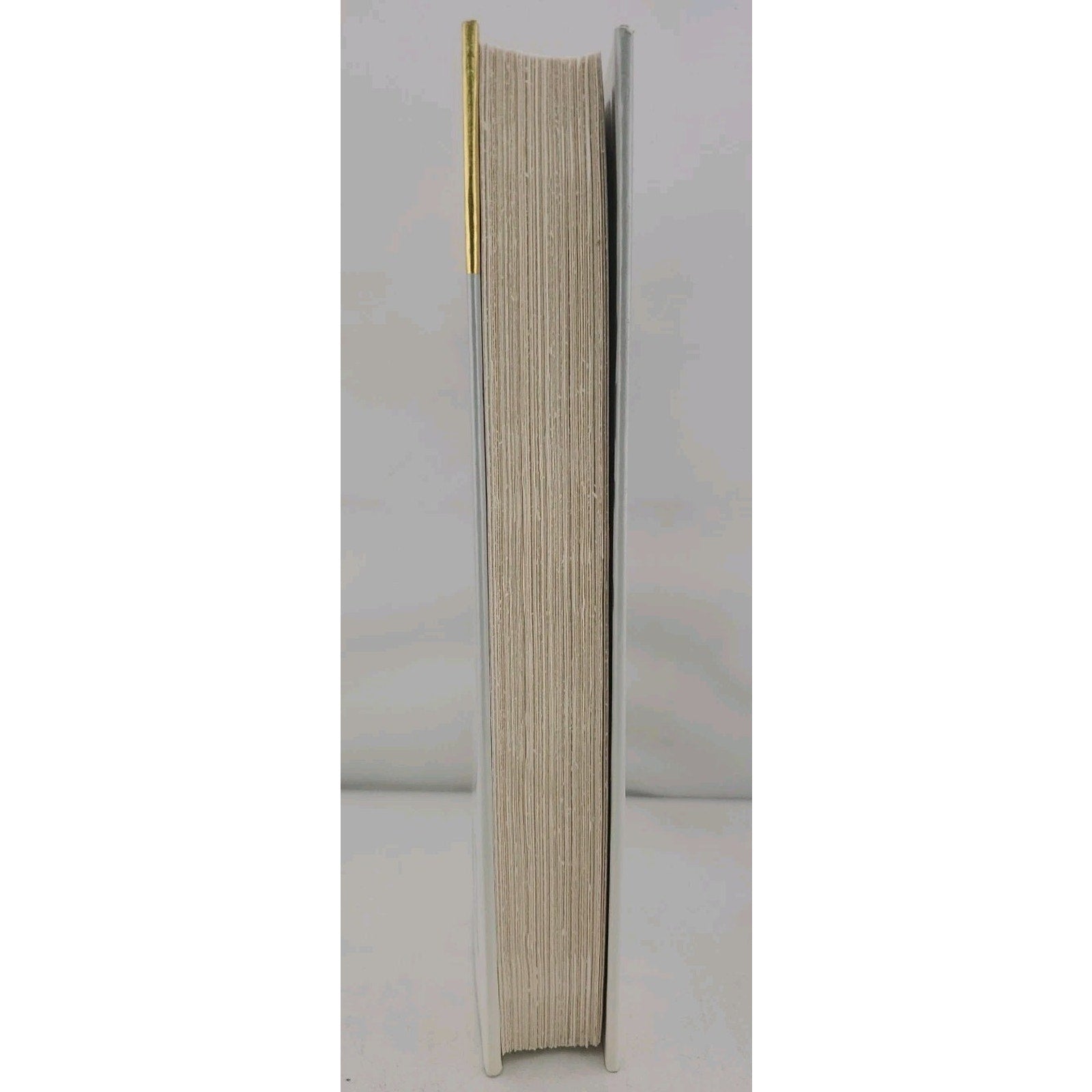 Ghost by Danielle Steel (1997, Hardcover)