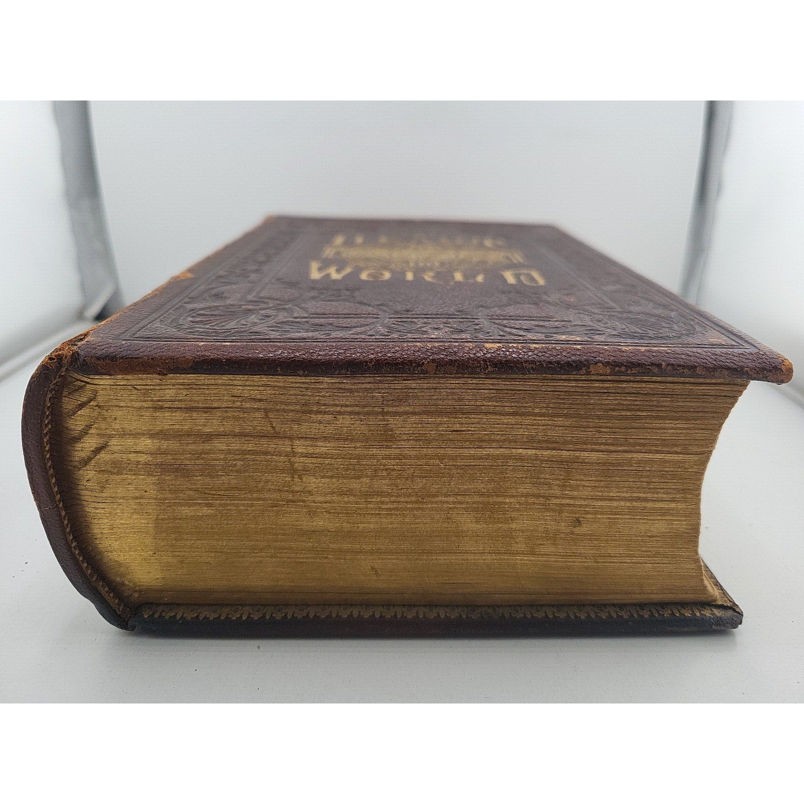 The Heart of the World Book : Home And Its Wide Work By G S Weaver, 1882