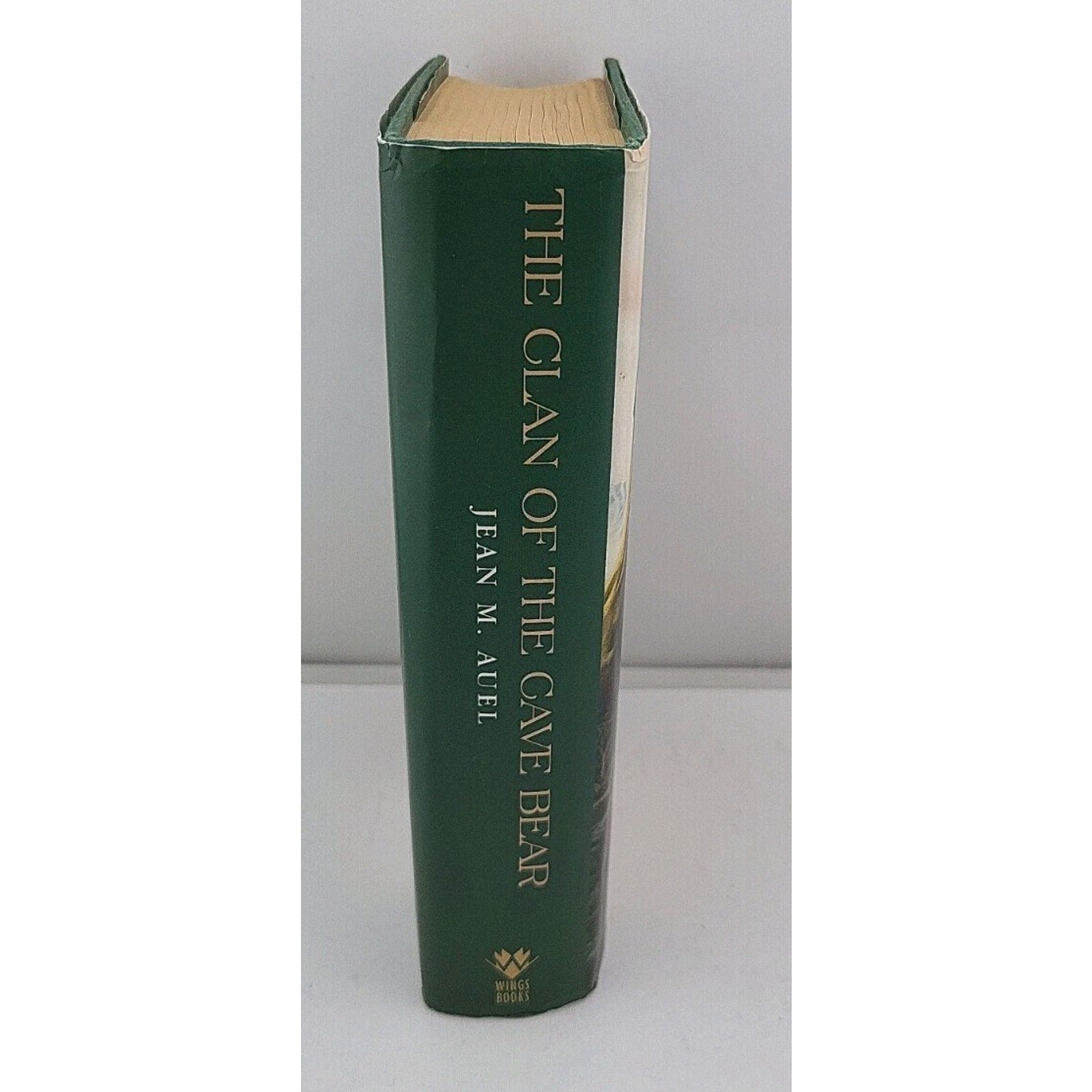 Clan of the Cave Bear by Jean M. Auel (1998, Hardcover)