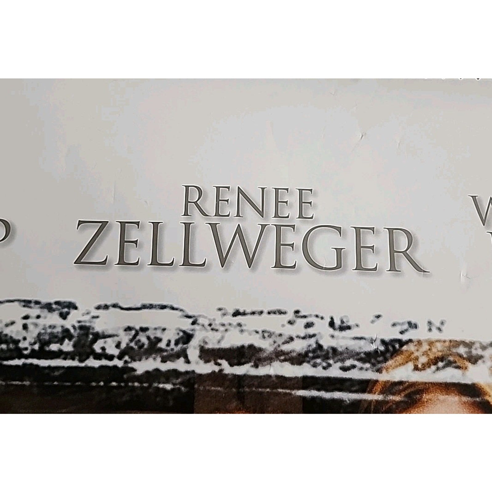 One True Thing Movie Video Poster- Hurt/Streep/Zellweger - 27x40