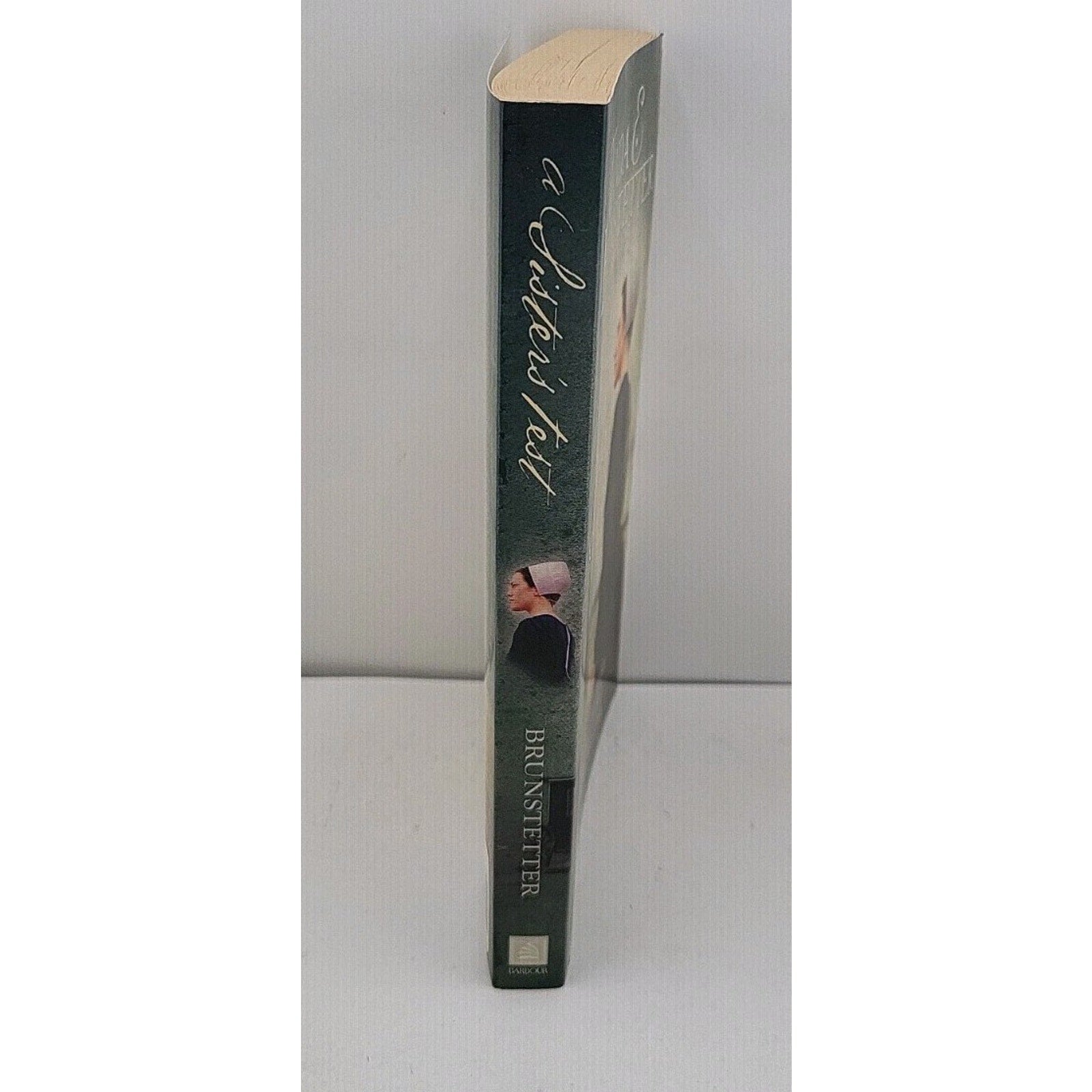 Sister's Test by Wanda E. Brunstetter (2008, Trade Paperback)