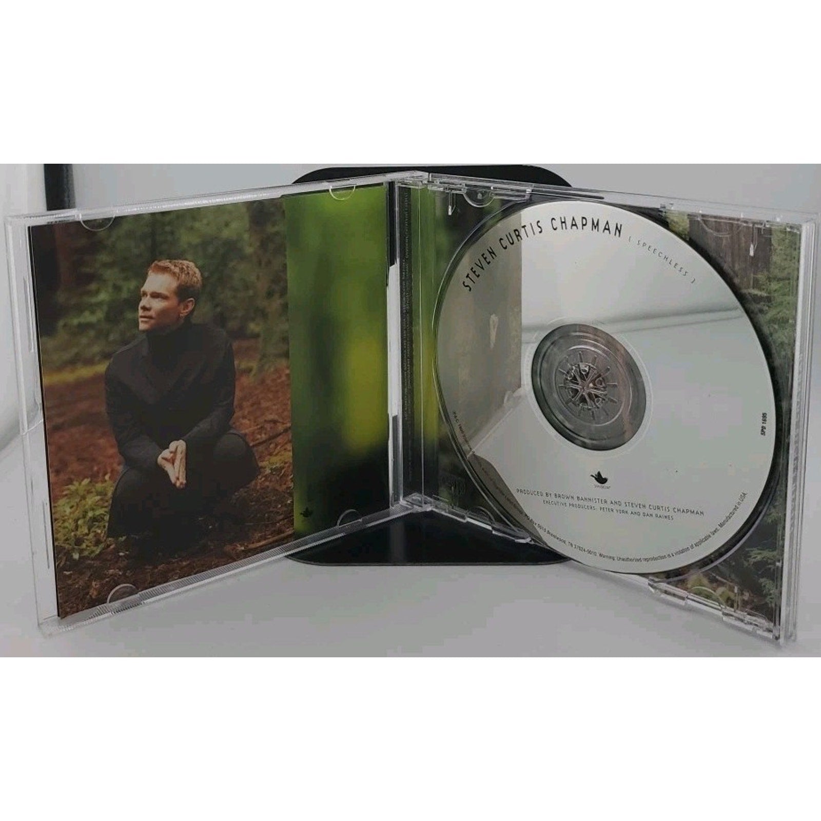 Speechless by Steven Curtis Chapman (CD, 1999)
