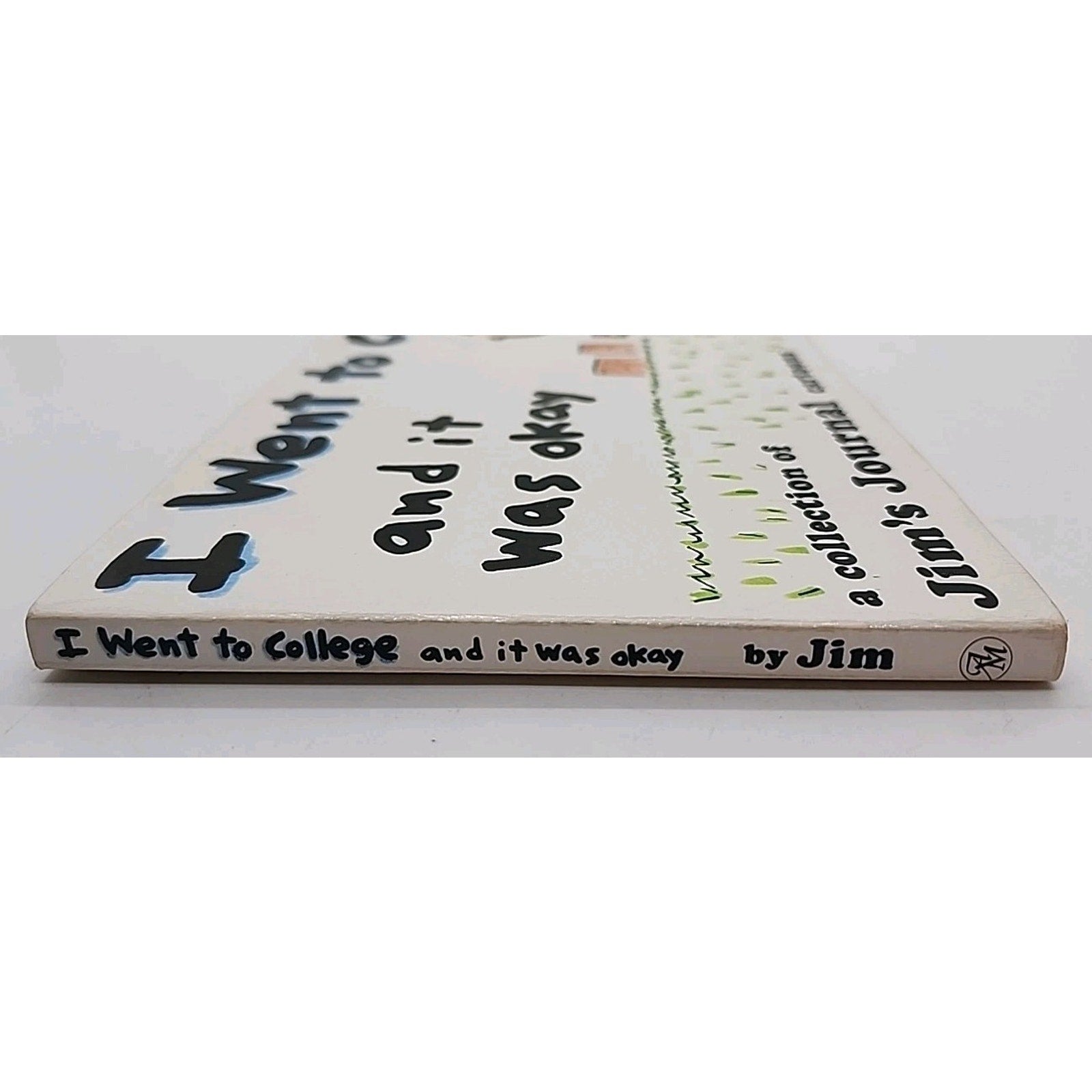 I Went to College, and It Was Okay (Paperback)
