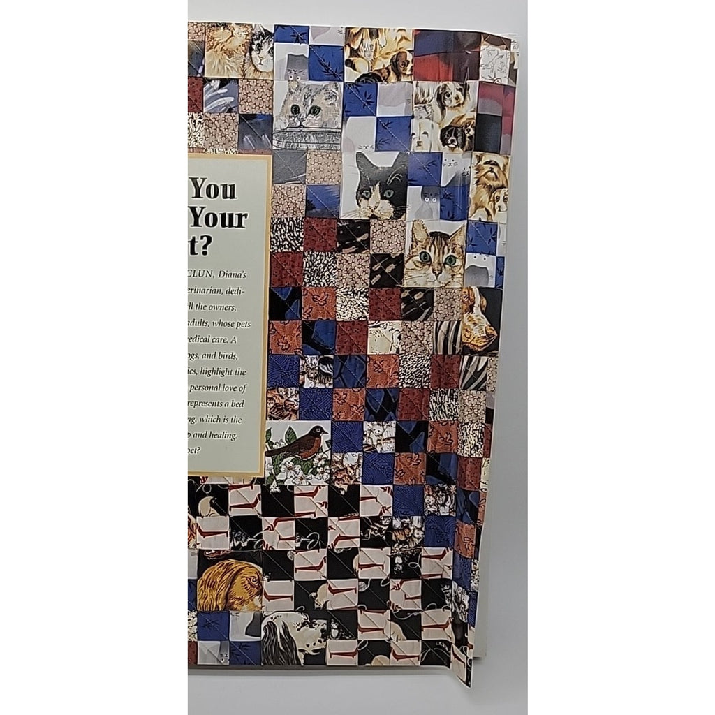 Say It with Quilts by Laura Nownes and Diana McClun (2011, Hardcover)