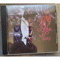 Are You Gonna Go My Way? by Lenny Kravitz (CD, 1993)